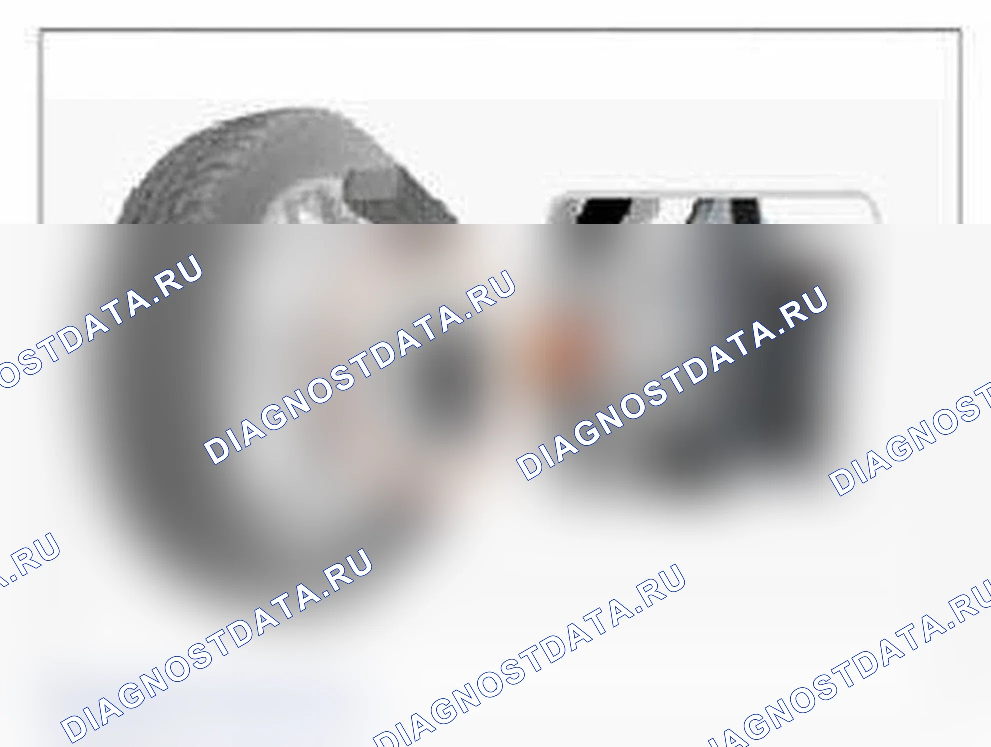 Рис. 74: Мониторинг данных GDS. Hyundai Santa Fe III