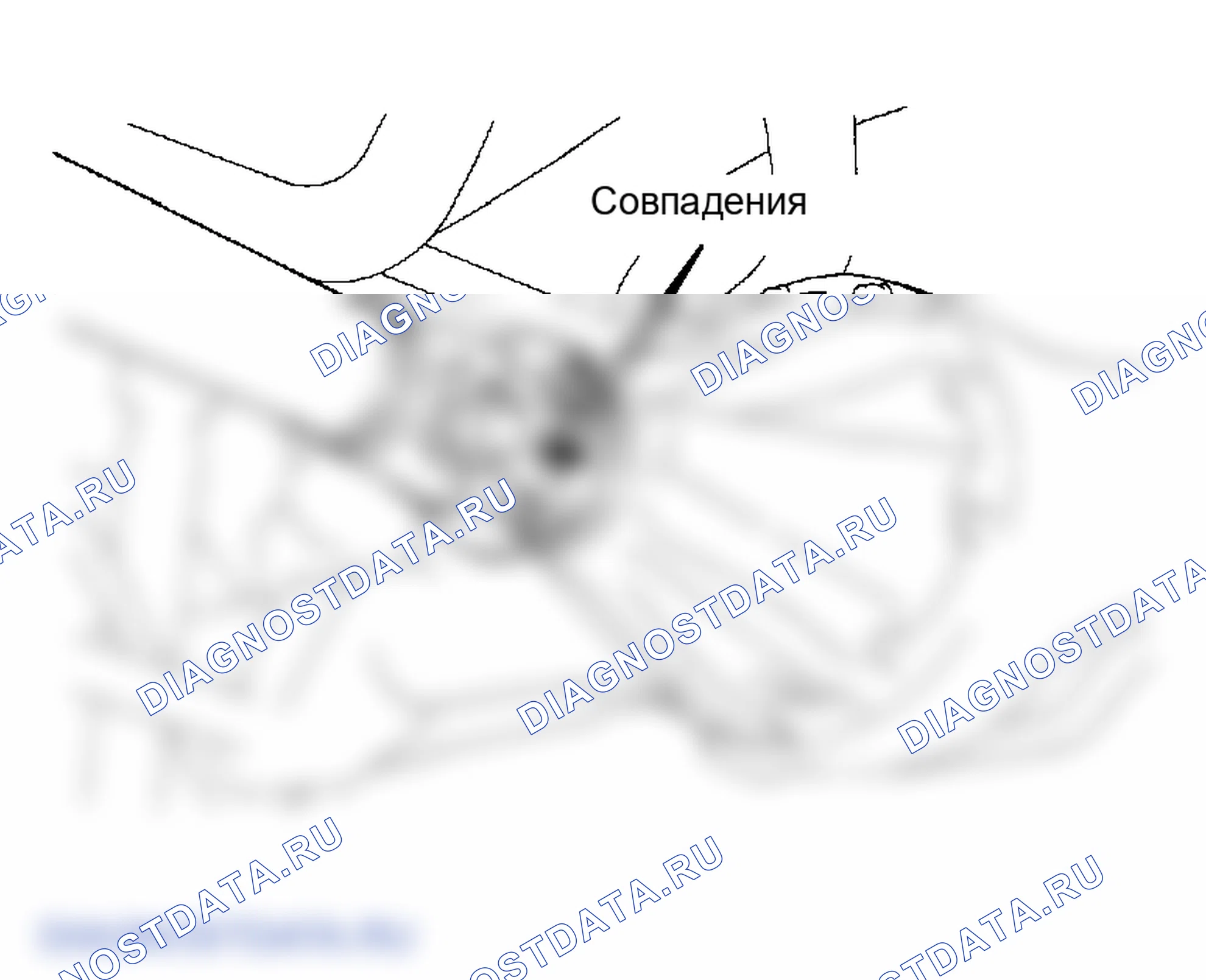 Рис. 161. Toyota Land Cruiser 100 рестайлинг