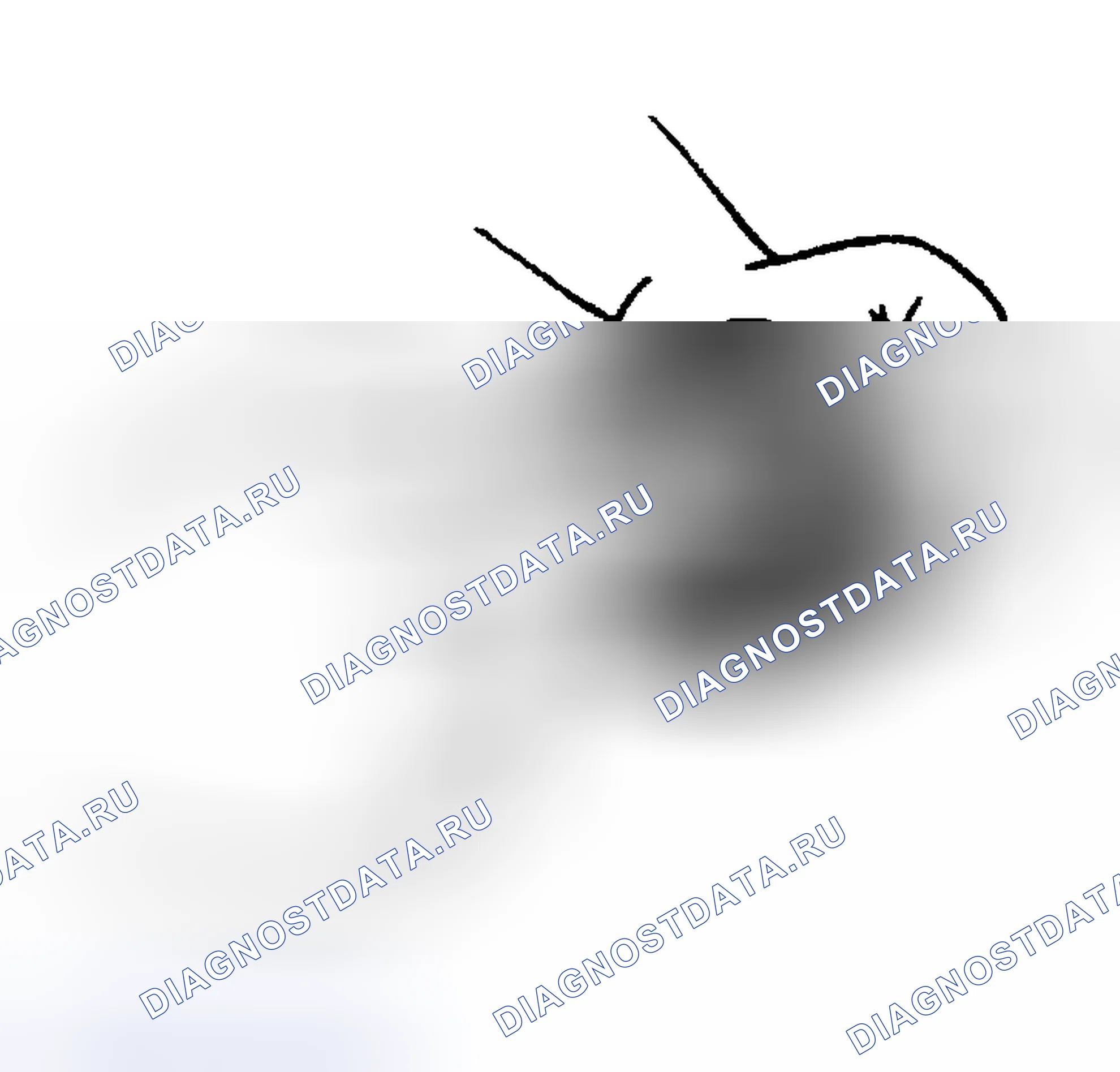 Рис. 5. Mazda MX-5 NC рестайлинг