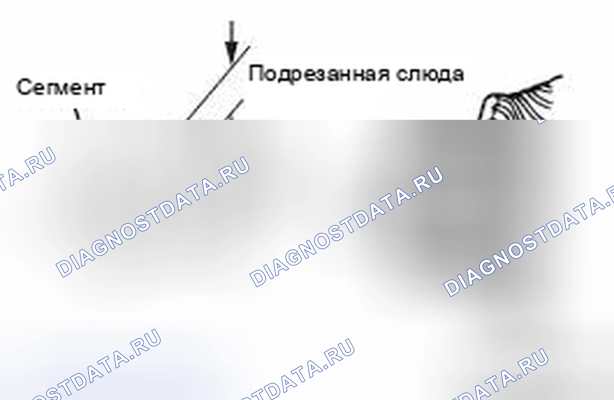 Рис. 22. Honda e:NP1 I