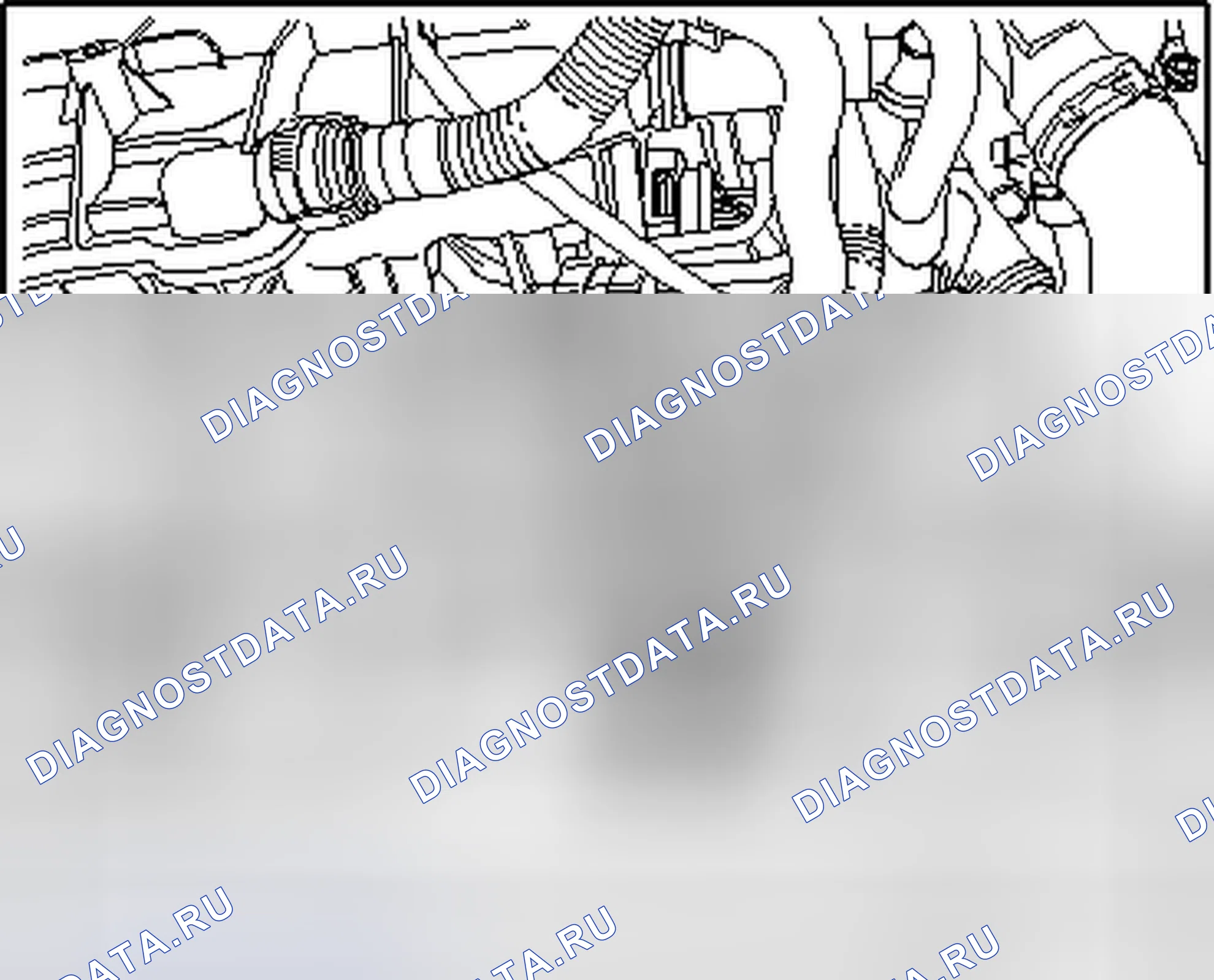 Рис. 2. Volkswagen Passat B6