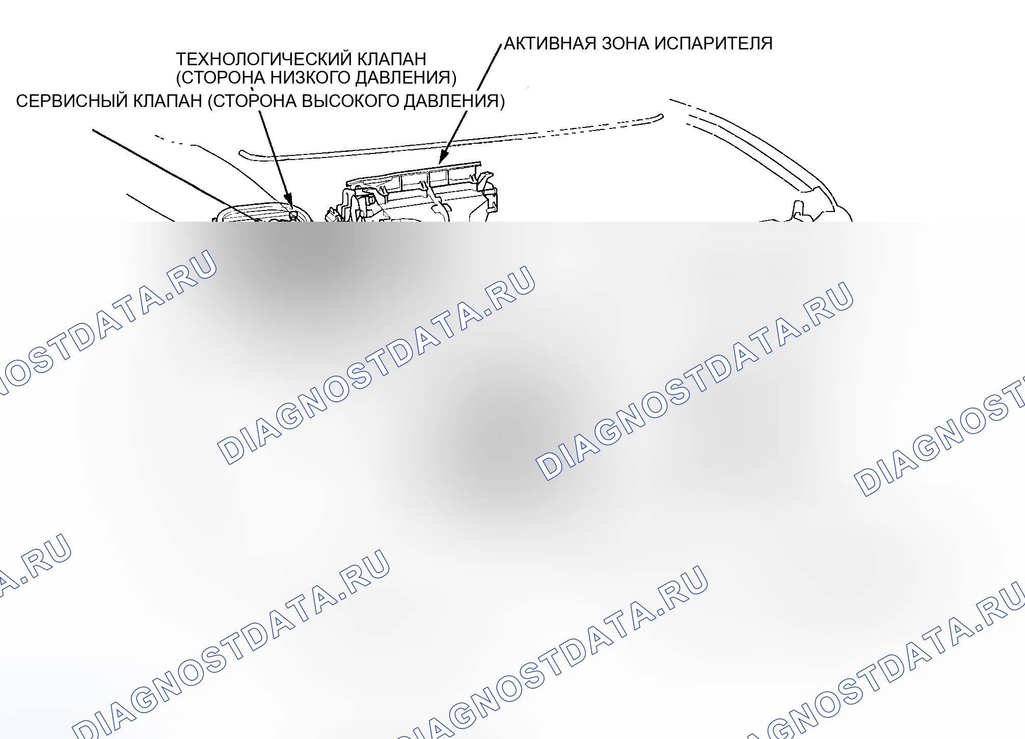 Рис. 94. Honda Element YH2