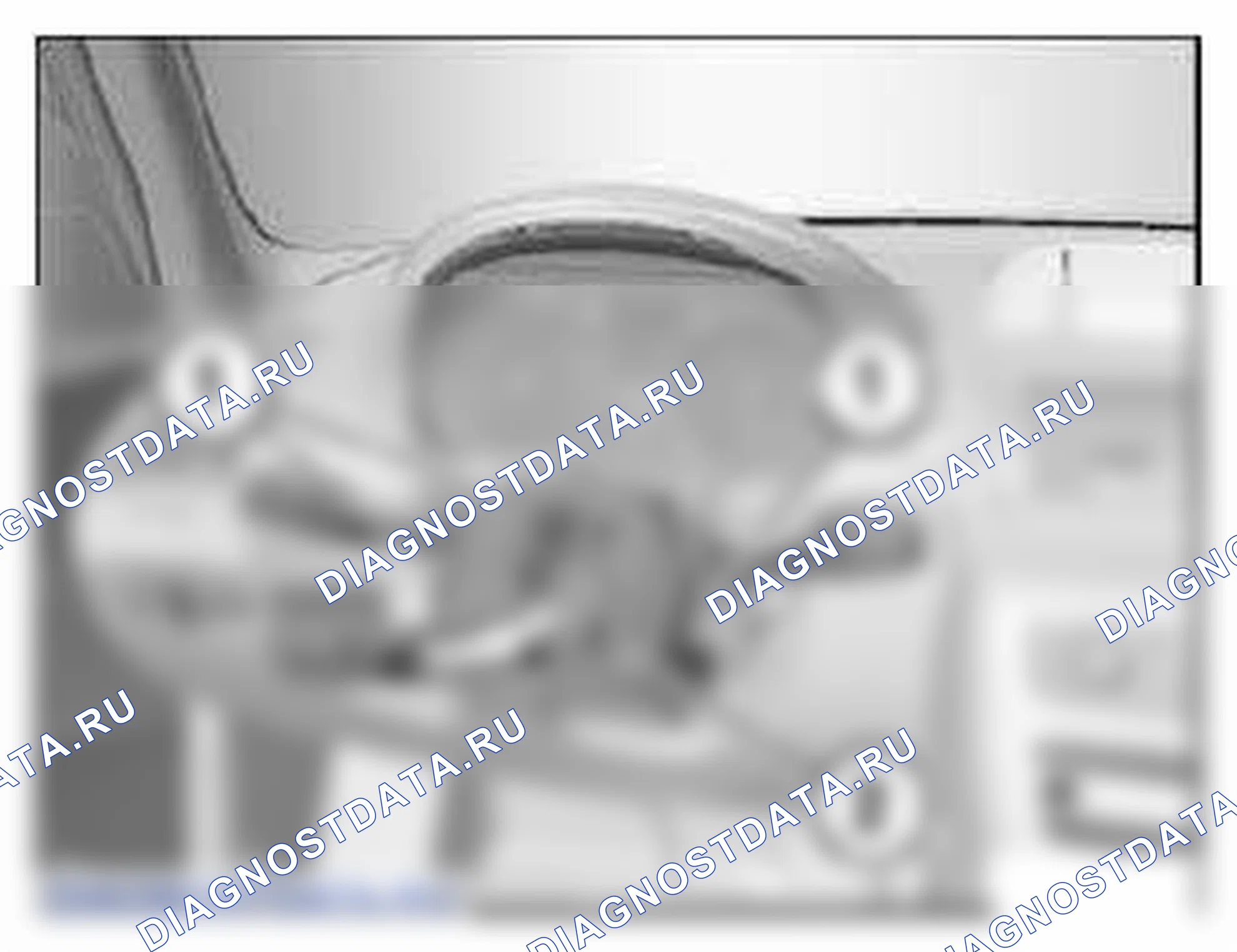 Рис. 170. BMW X3 F25