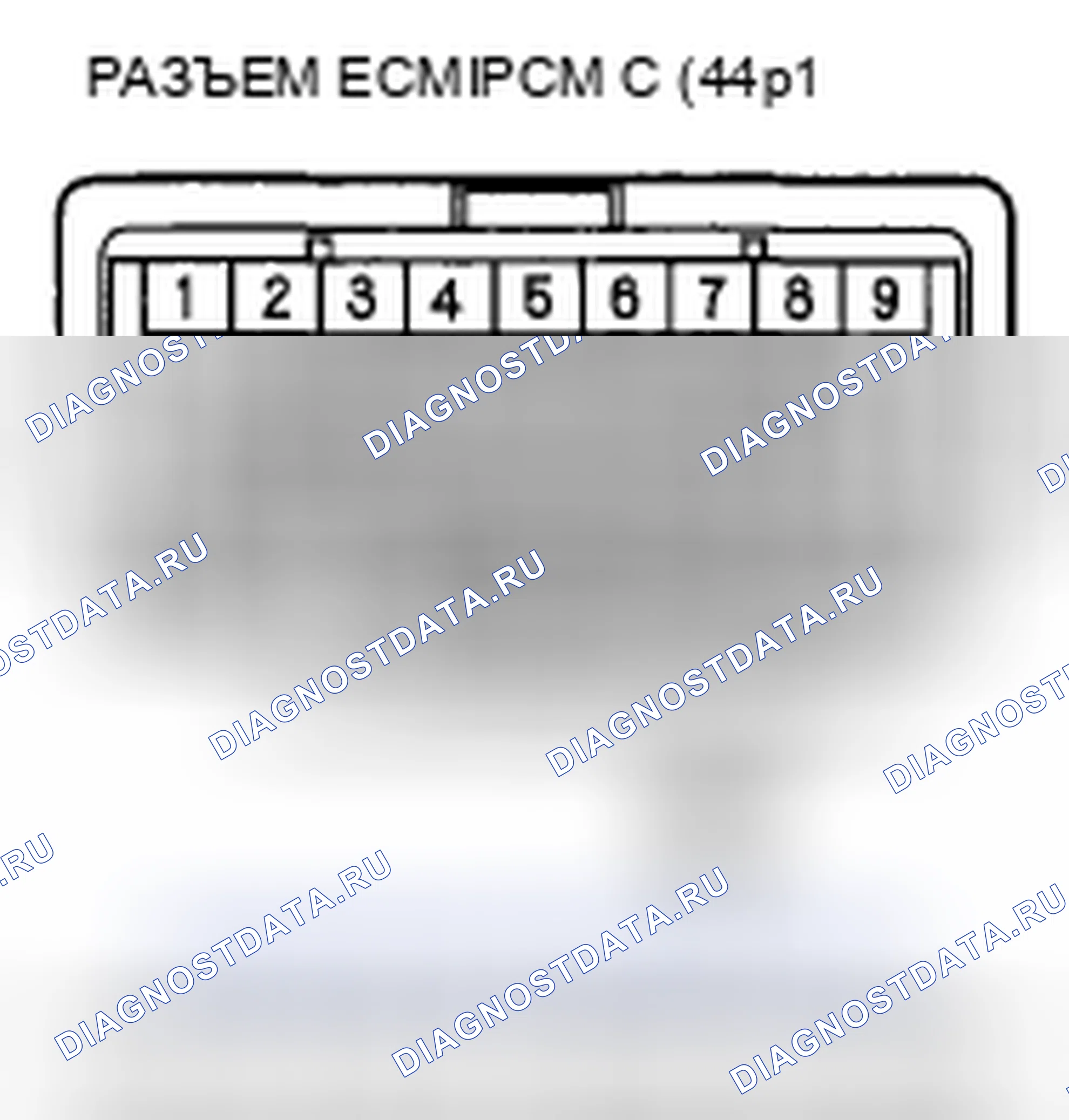 Рис. 212. Acura CSX I
