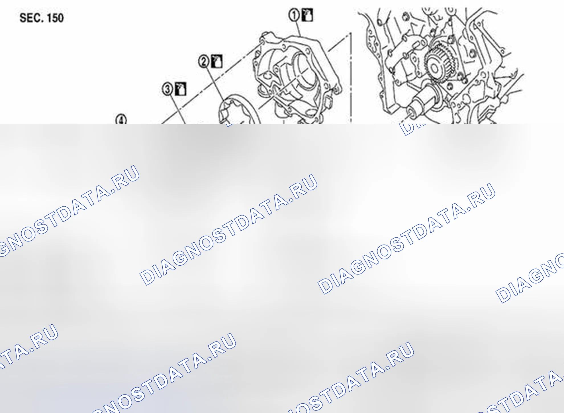 Рис. 43: Нефтяной насос - вид в разобранном виде. Suzuki Equator I