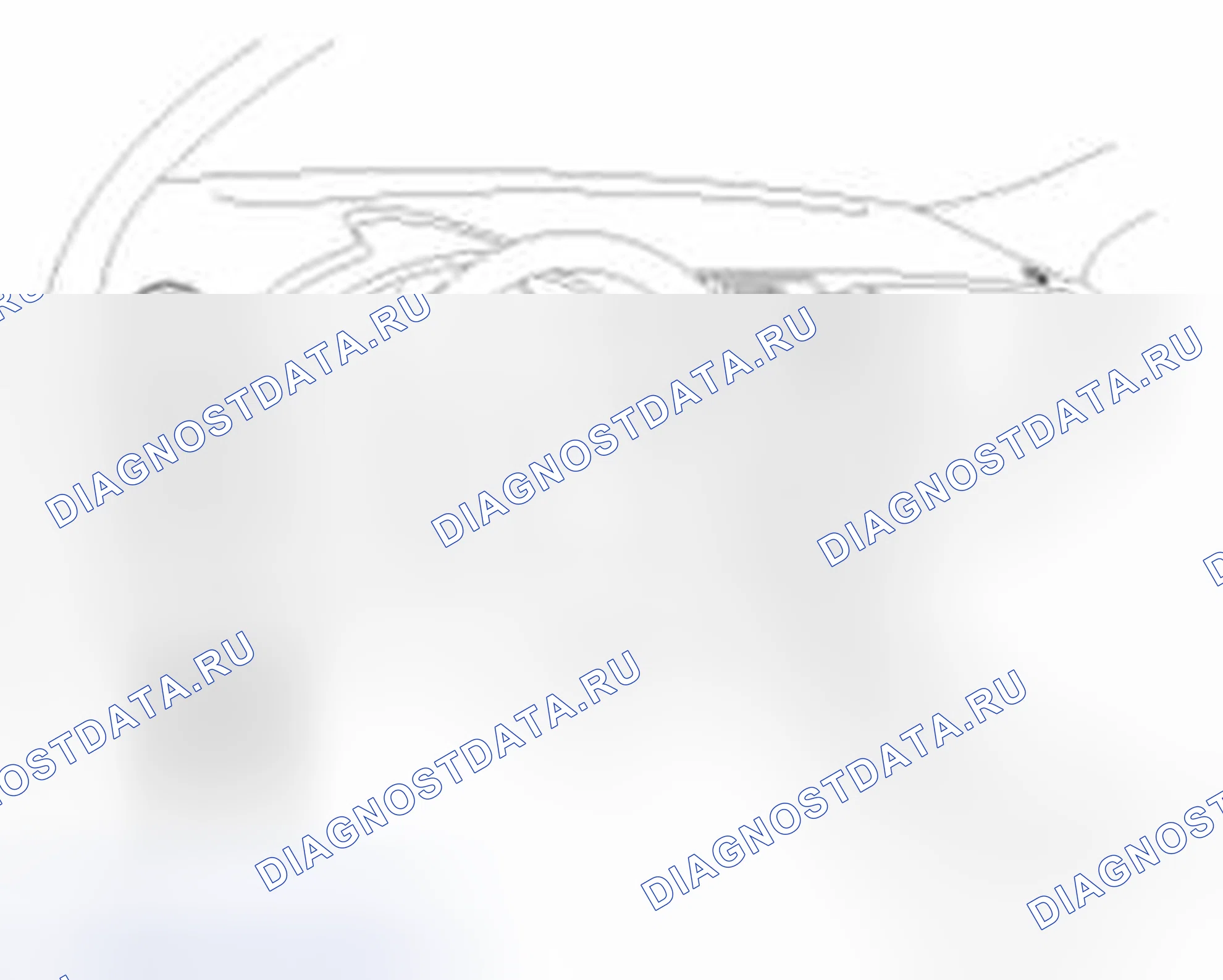 Рис. 166: Регистрация кода передатчика (с использованием GDS). Haval Beast (Shenshou) I