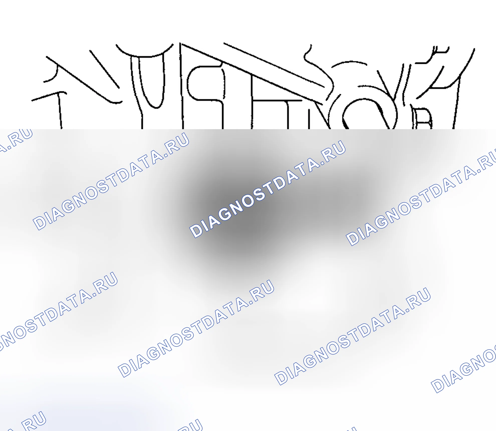 Рис. 136. Haval Chitu I