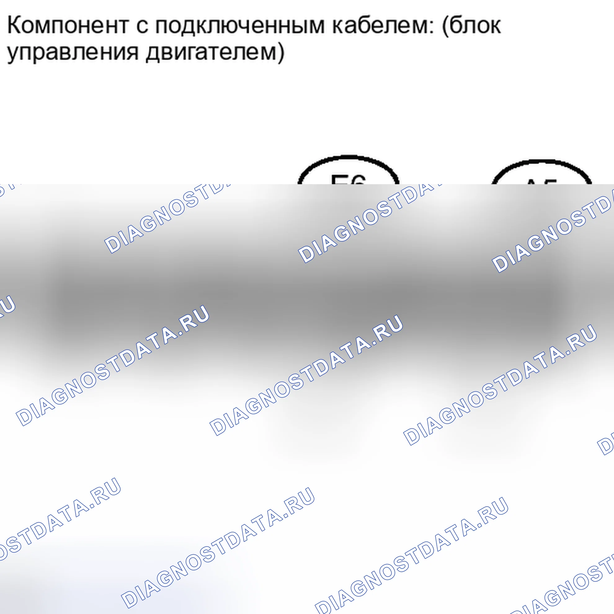 Рис. 132. Lexus IS F I