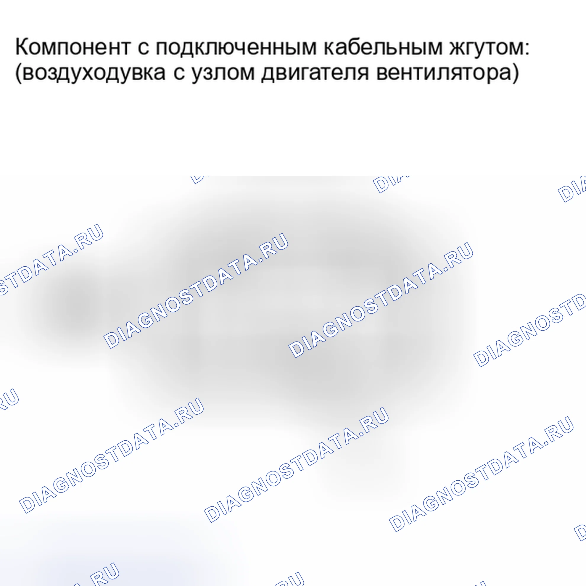 Рис. 298: ПОРЯДОК ВЫПОЛНЕНИЯ РАБОТ. Haval Raptor I