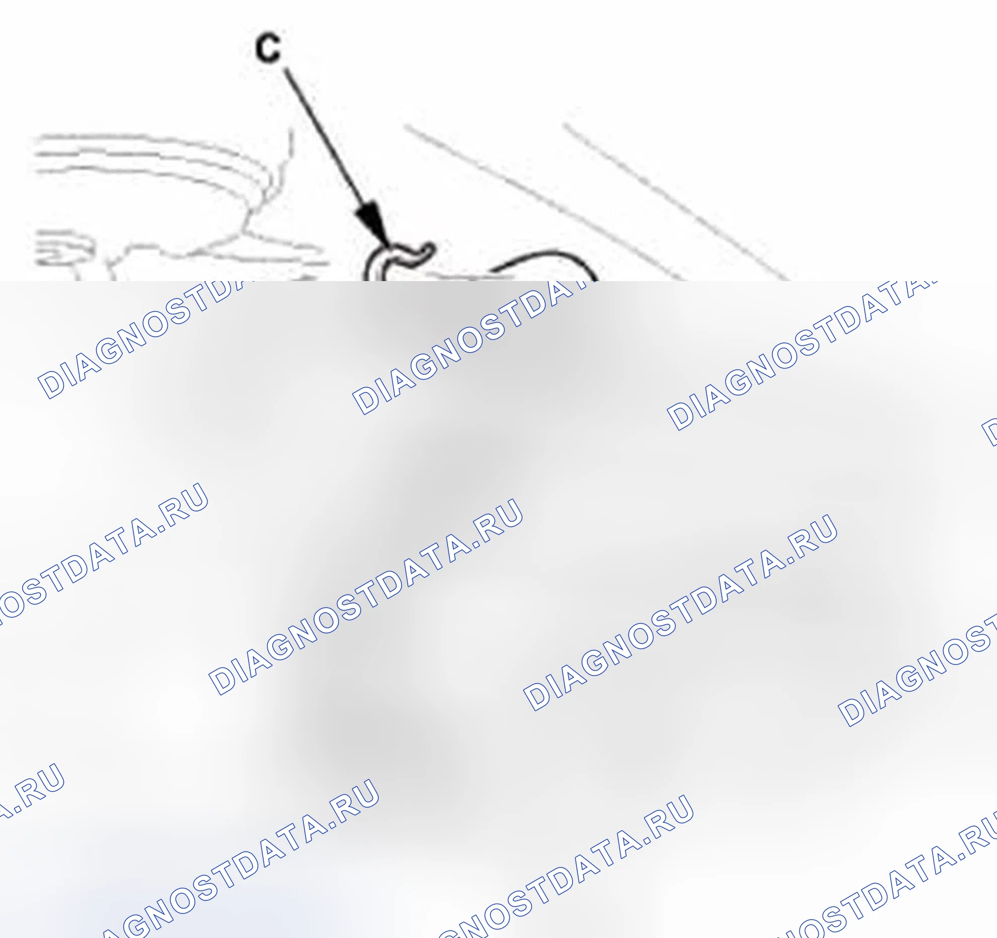 Рис. 144. Honda CR-V IV