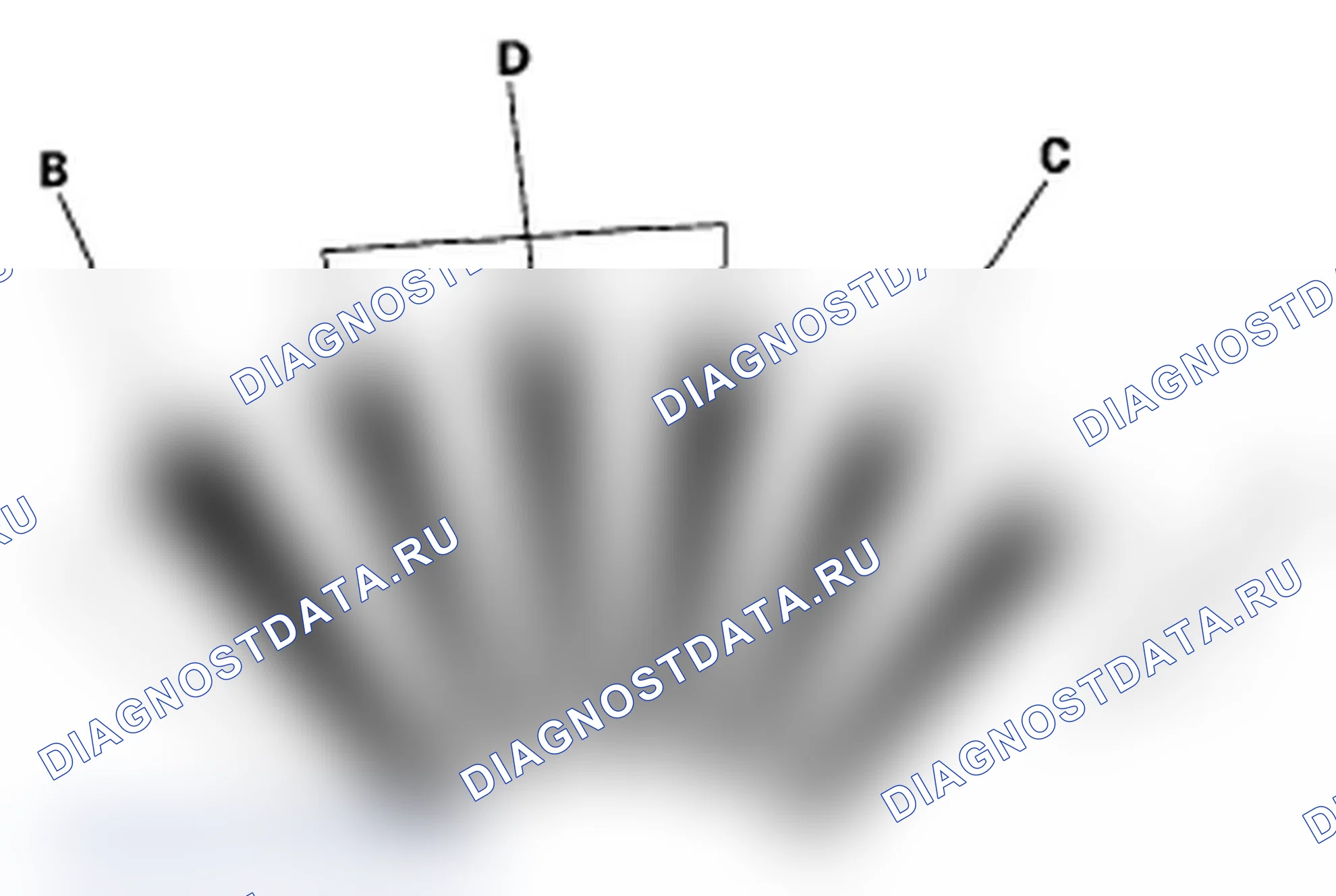 Рис. 24. Acura TL III рестайлинг