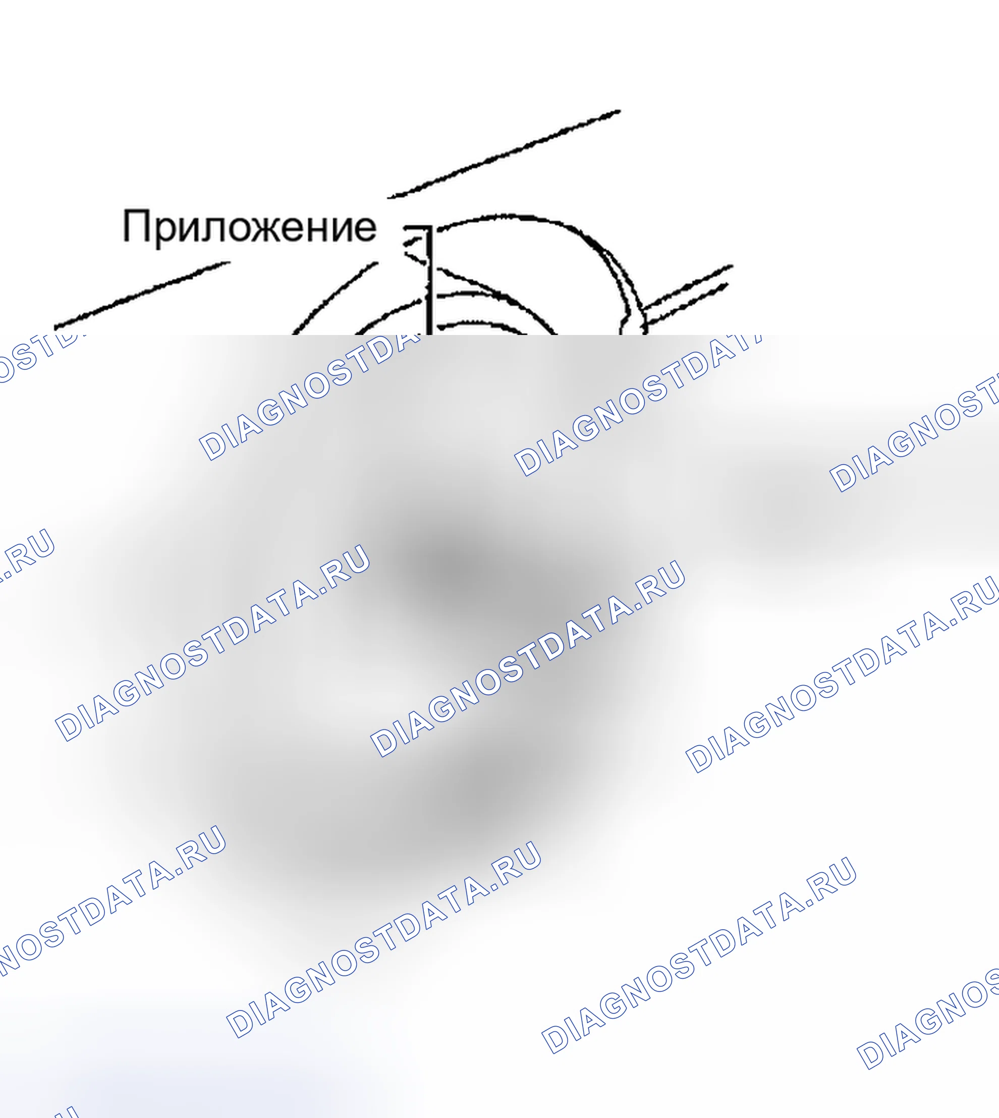 Рис. 1: Развал. Nissan Altima L31