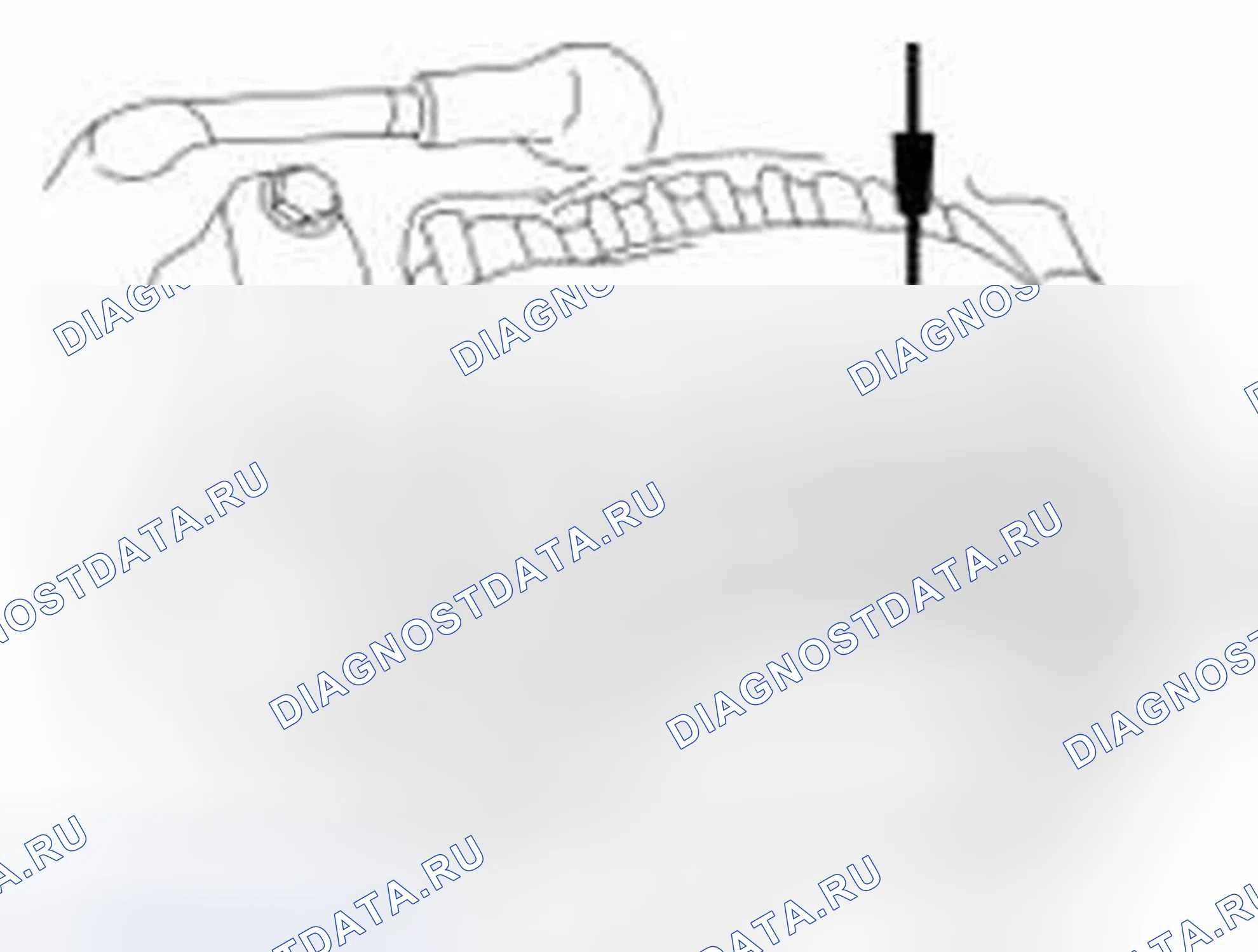 Рис. 4. Ford Explorer V