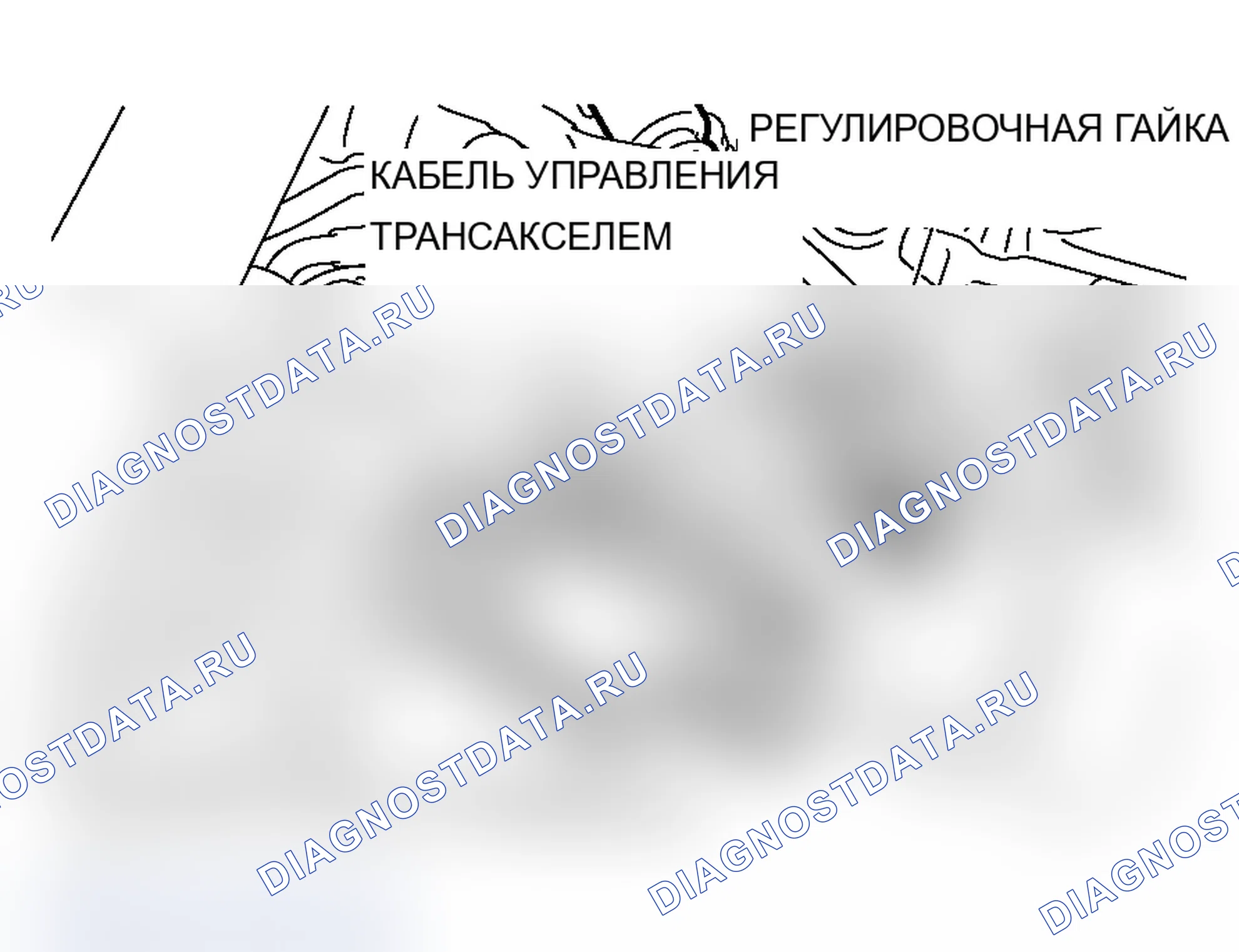 Рис. 213: ПЕРЕКЛЮЧАТЕЛЬ ДИАПАЗОНА ПЕРЕДАЧИ И РЕГУЛИРОВКА ТРОСА УПРАВЛЕНИЯ. Mitsubishi Lancer Evolution IX