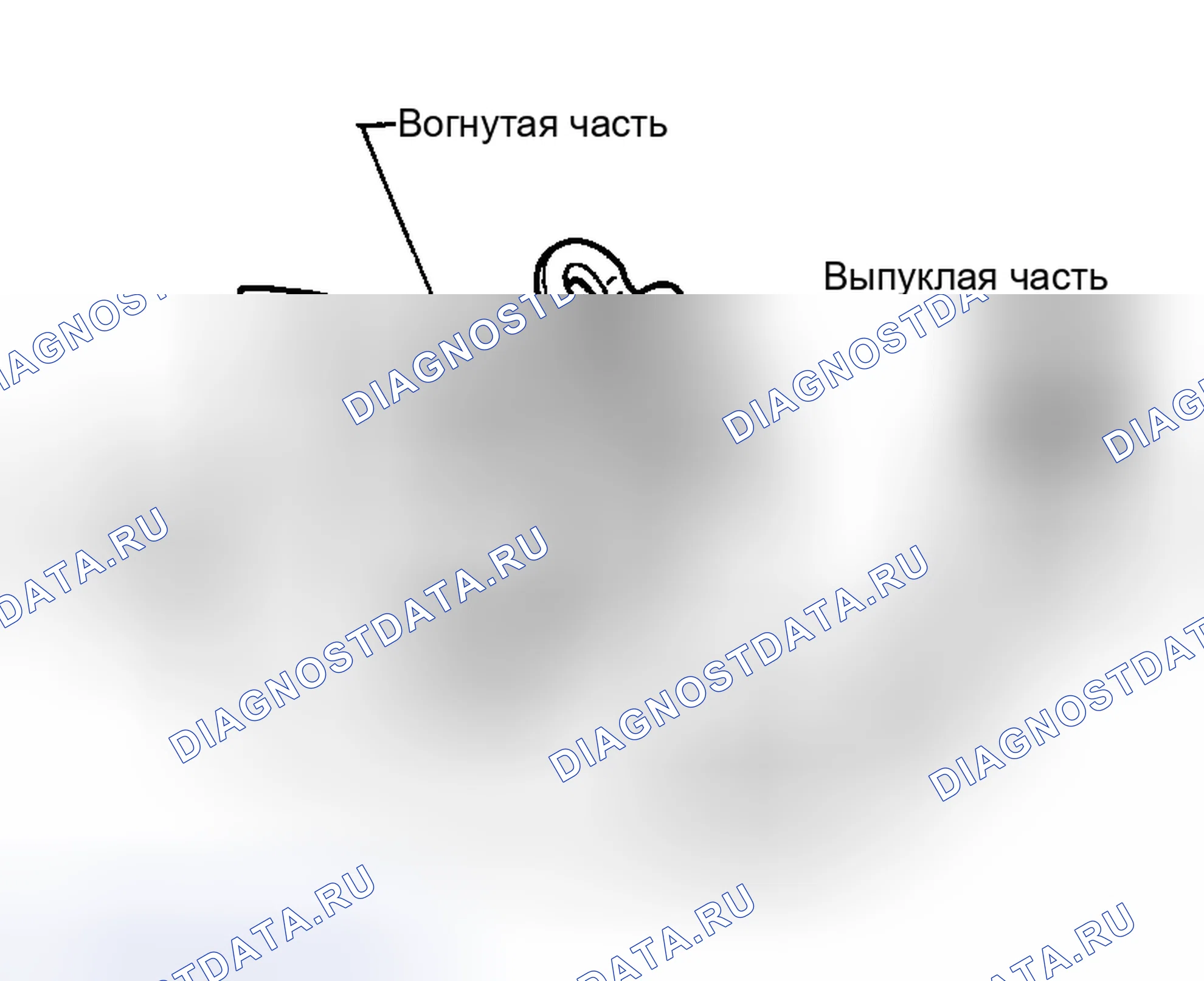 Рис. 79. Honda Street I