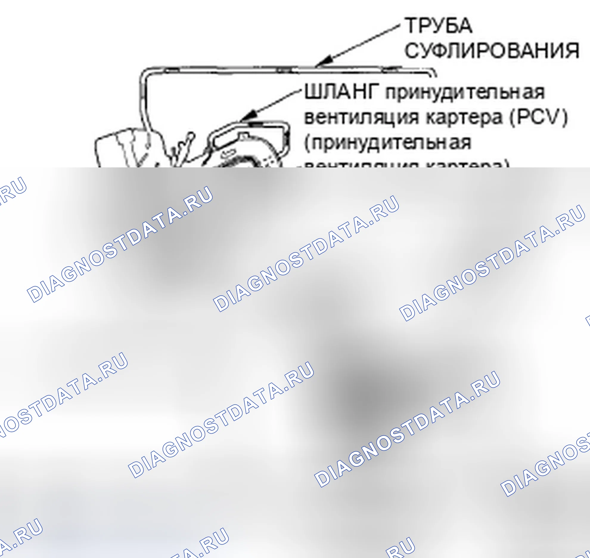 Рис. 239: Система принудительной вентиляции картера (принудительная вентиляция картера (PCV) (принудительная вентиляция картера)). Honda Element YH2 рестайлинг