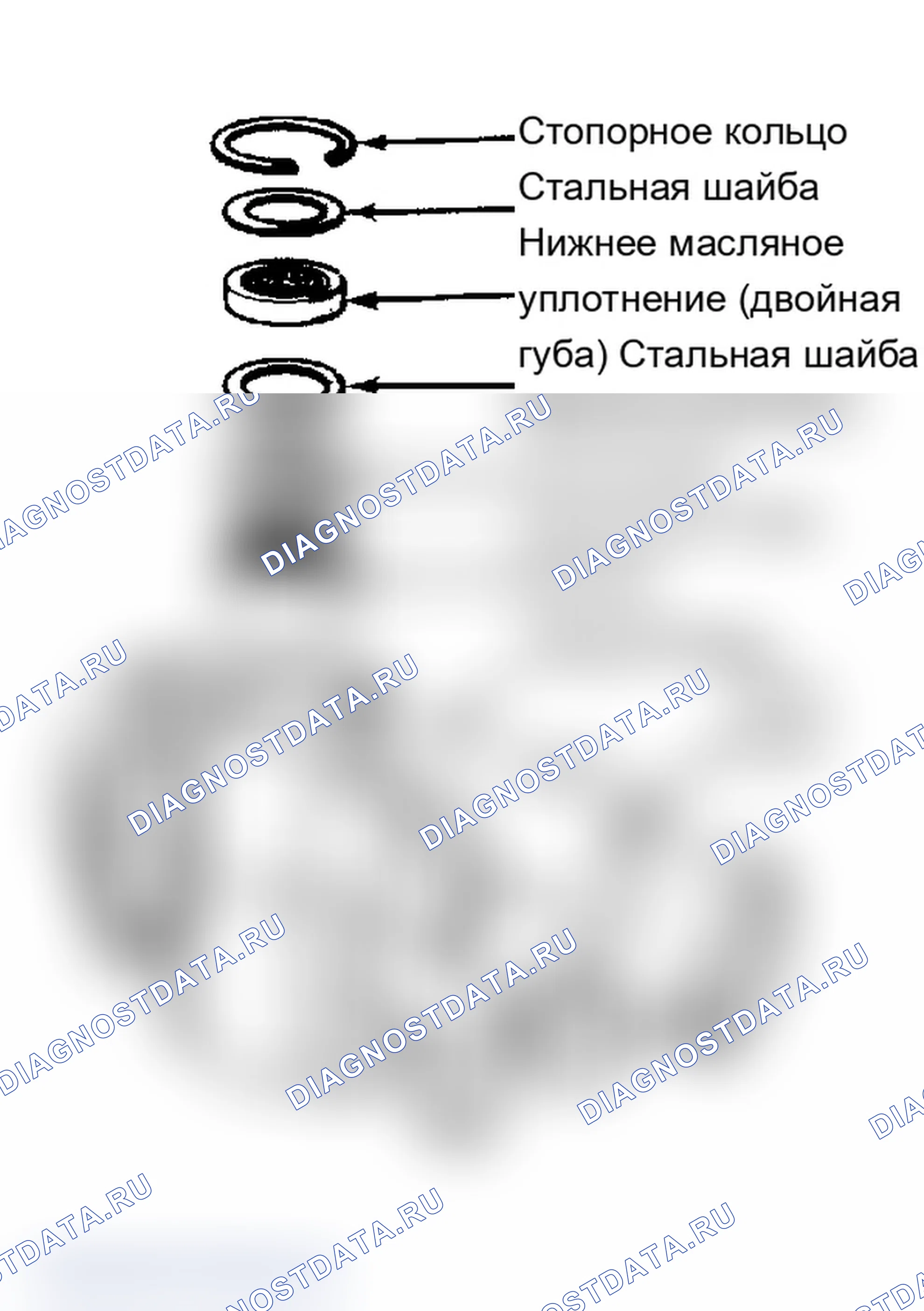 Рис. 13: Уплотнения и подшипники корпуса зубчатой передачи. Chevrolet Cab & Chassis C20 