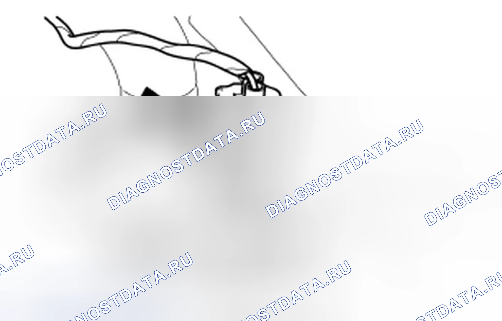 Рис. 418. Ford Mustang V