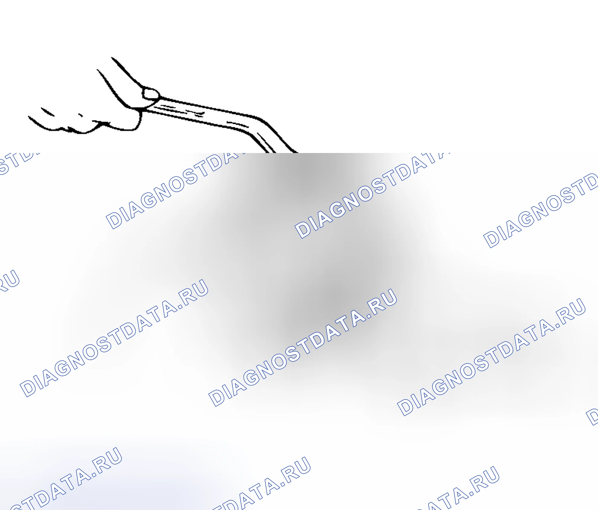 Рис. 4. Honda Grace I