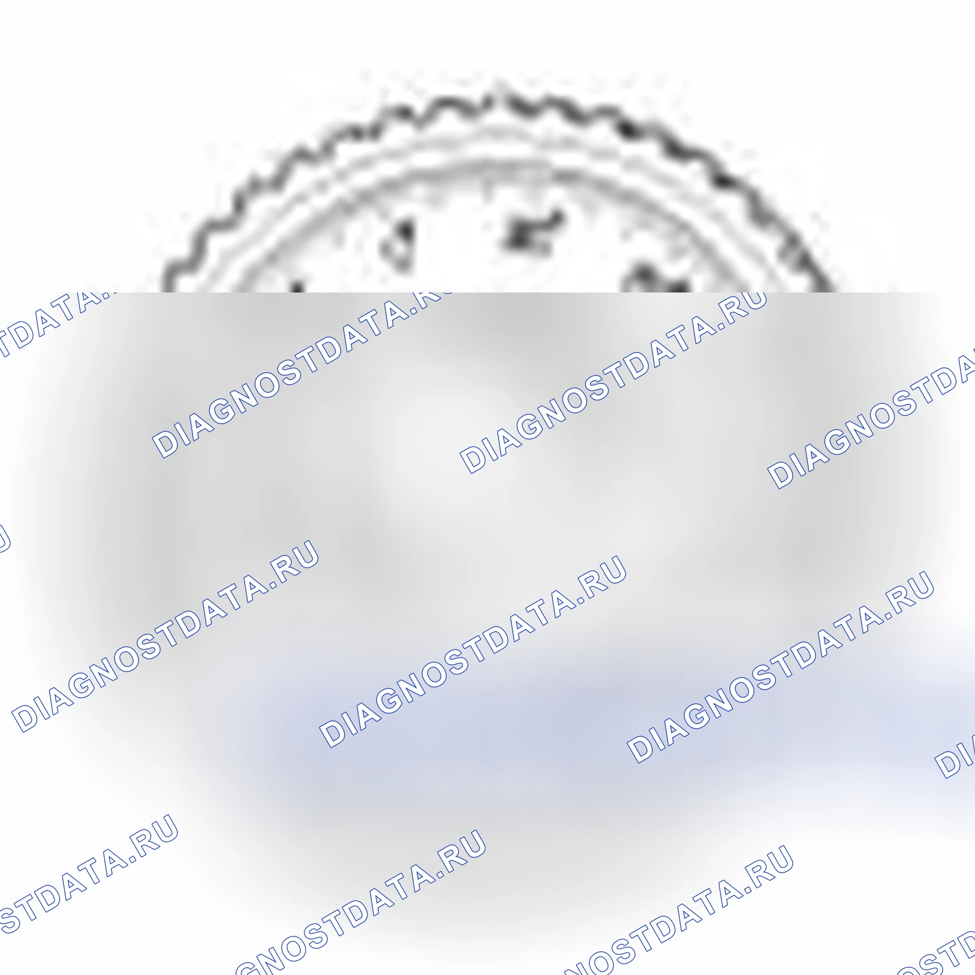Рис. 3. Geely SC7 I