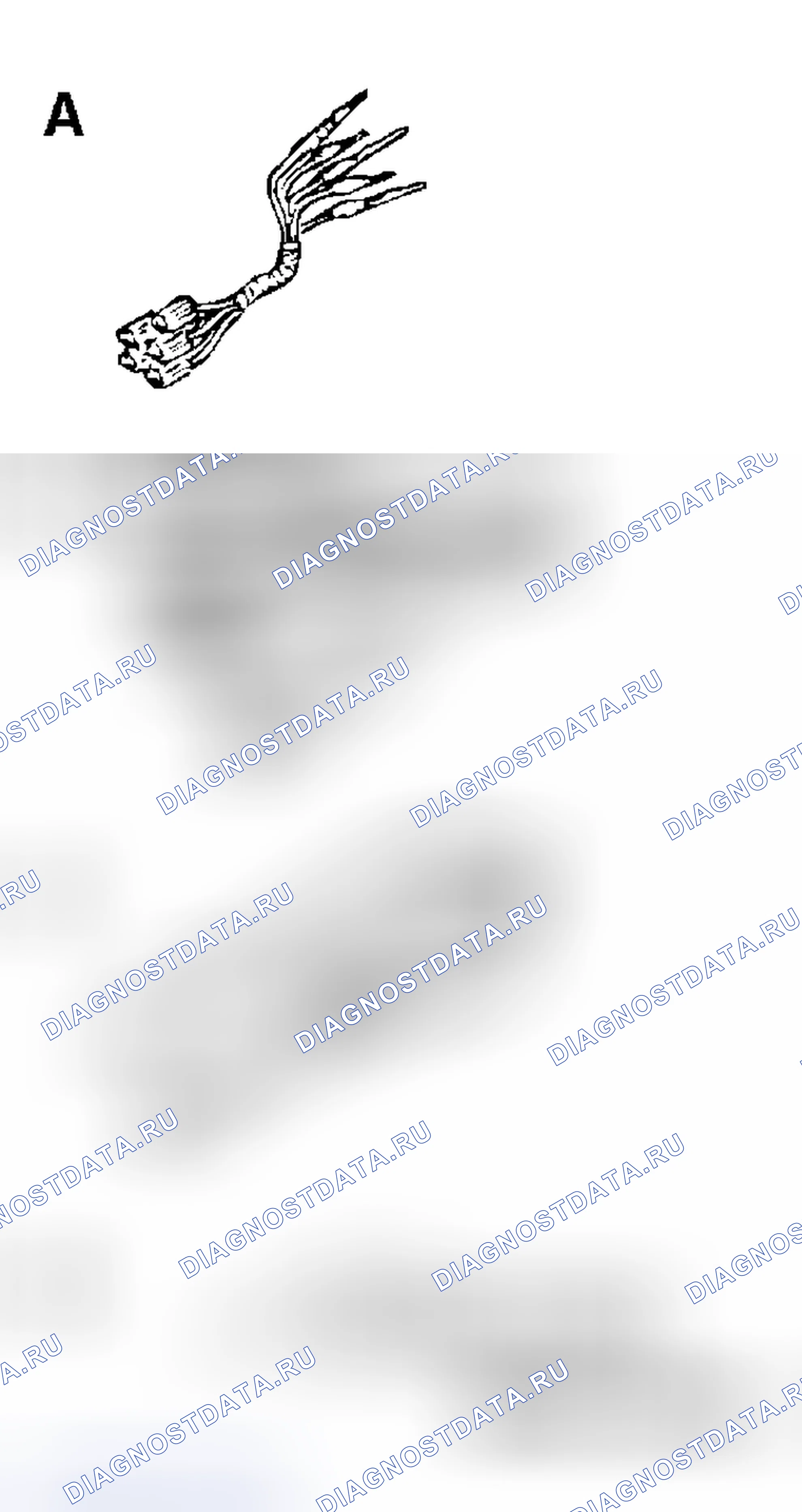 Рис. 31. Mitsubishi Endeavor I