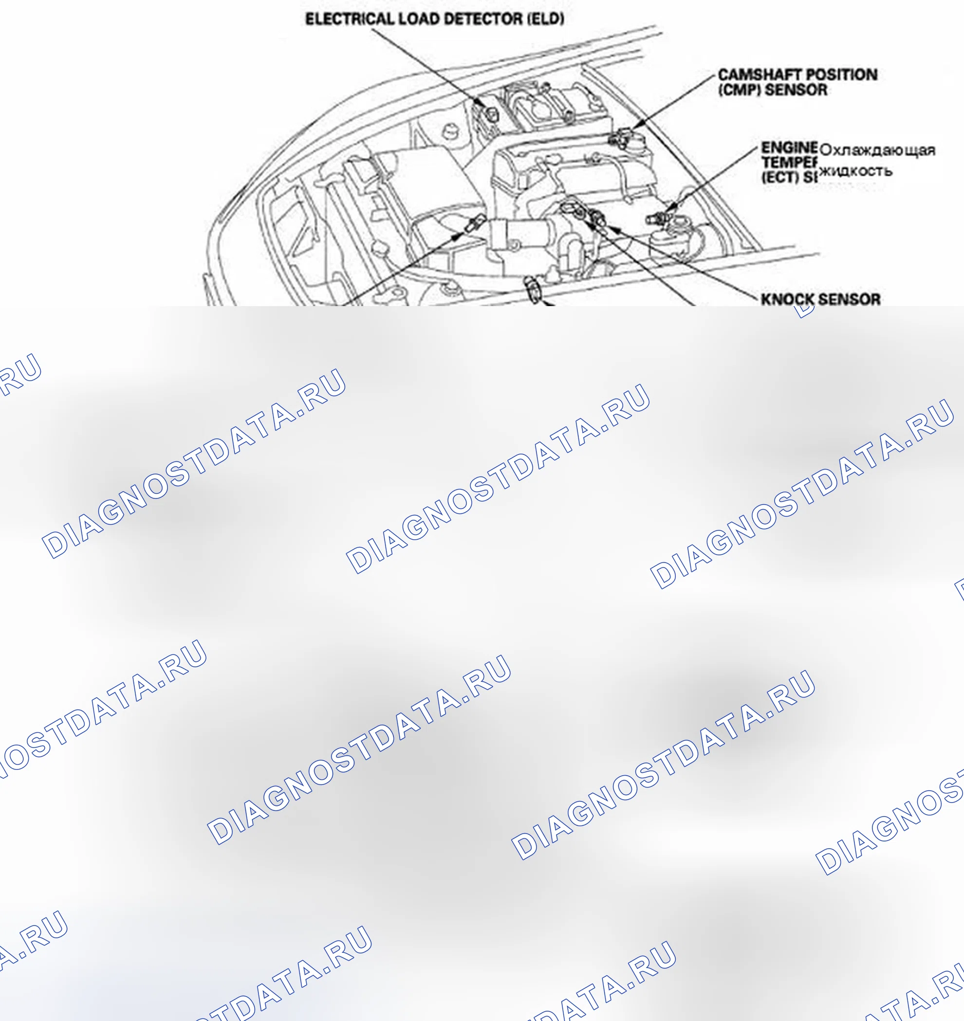Рис. 244: Указатель расположения компонентов. Honda S2000 AP2 рестайлинг