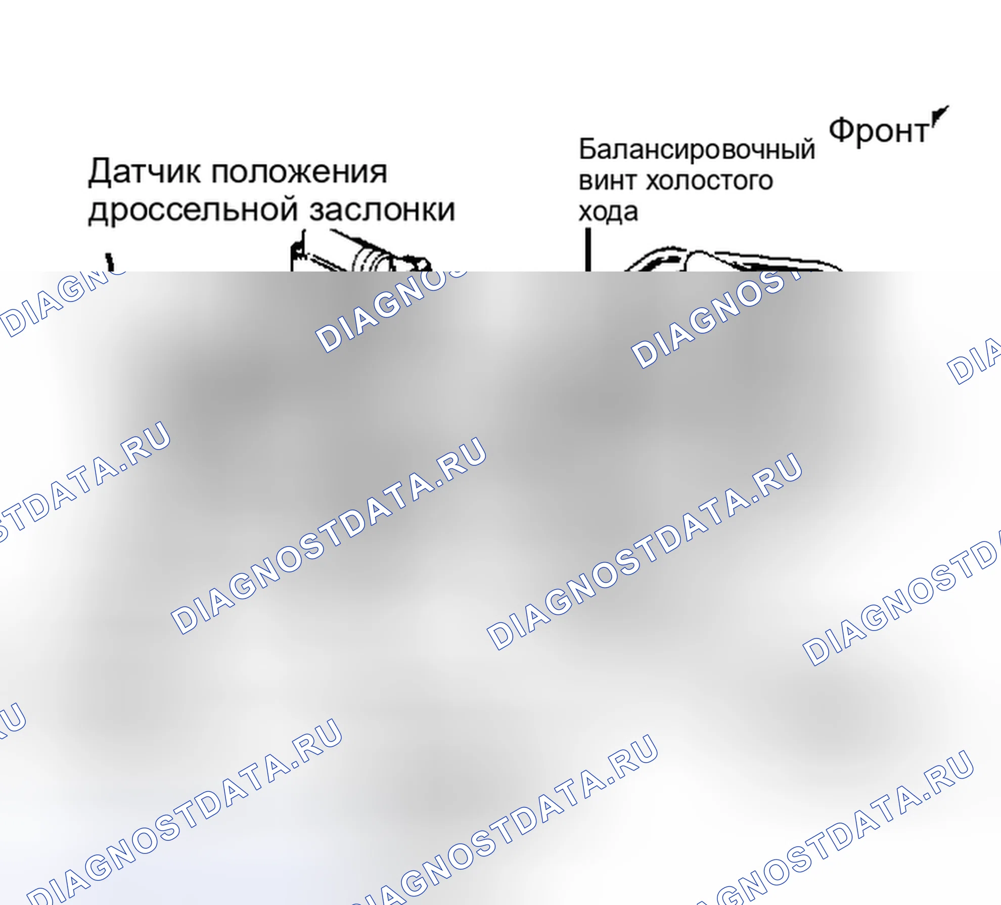 Рис. 19: Расположение компонентов системы впрыска топлива 5,0 л. Chevrolet Malibu IV