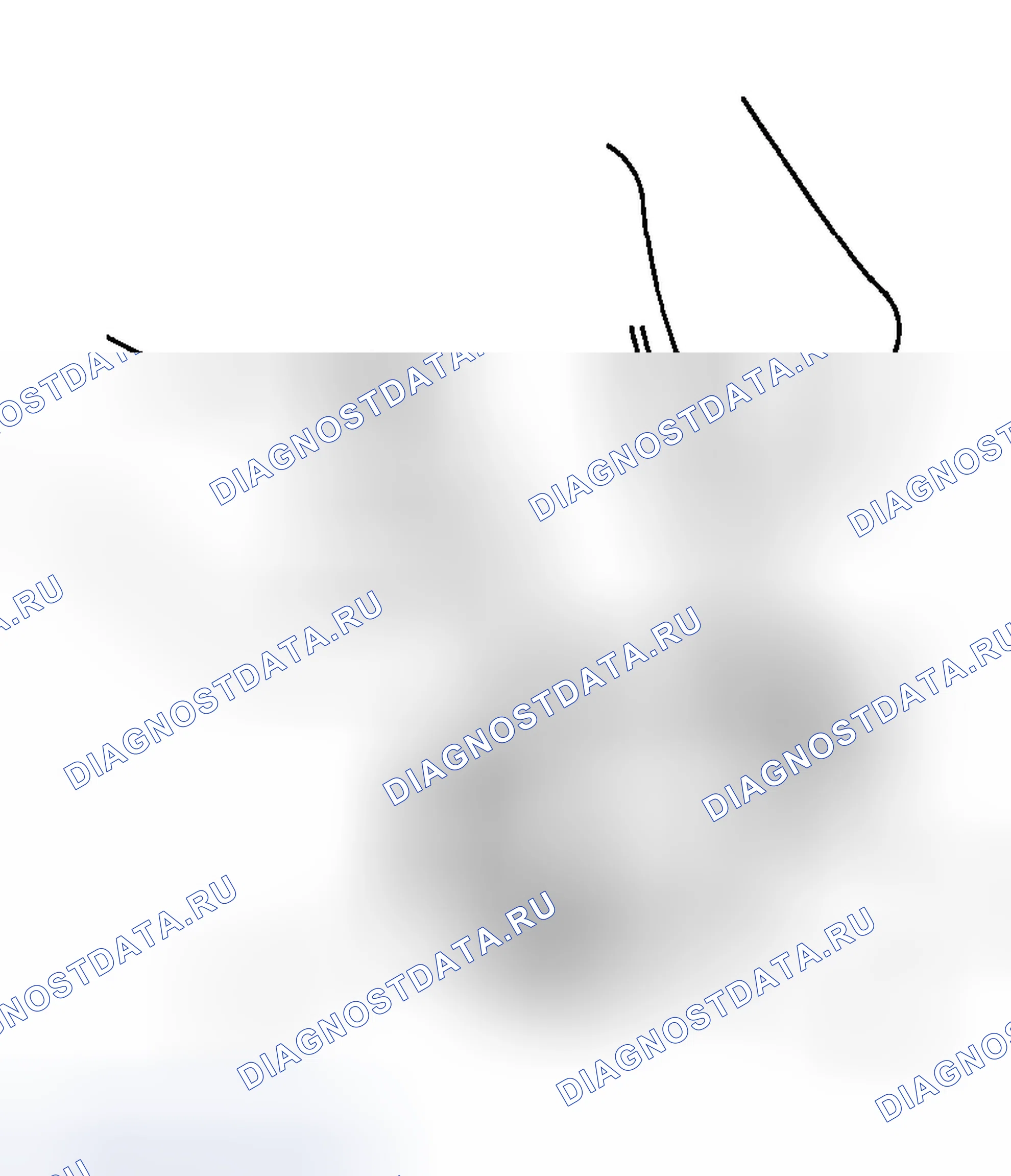 Рис. 44. Honda Element YH2
