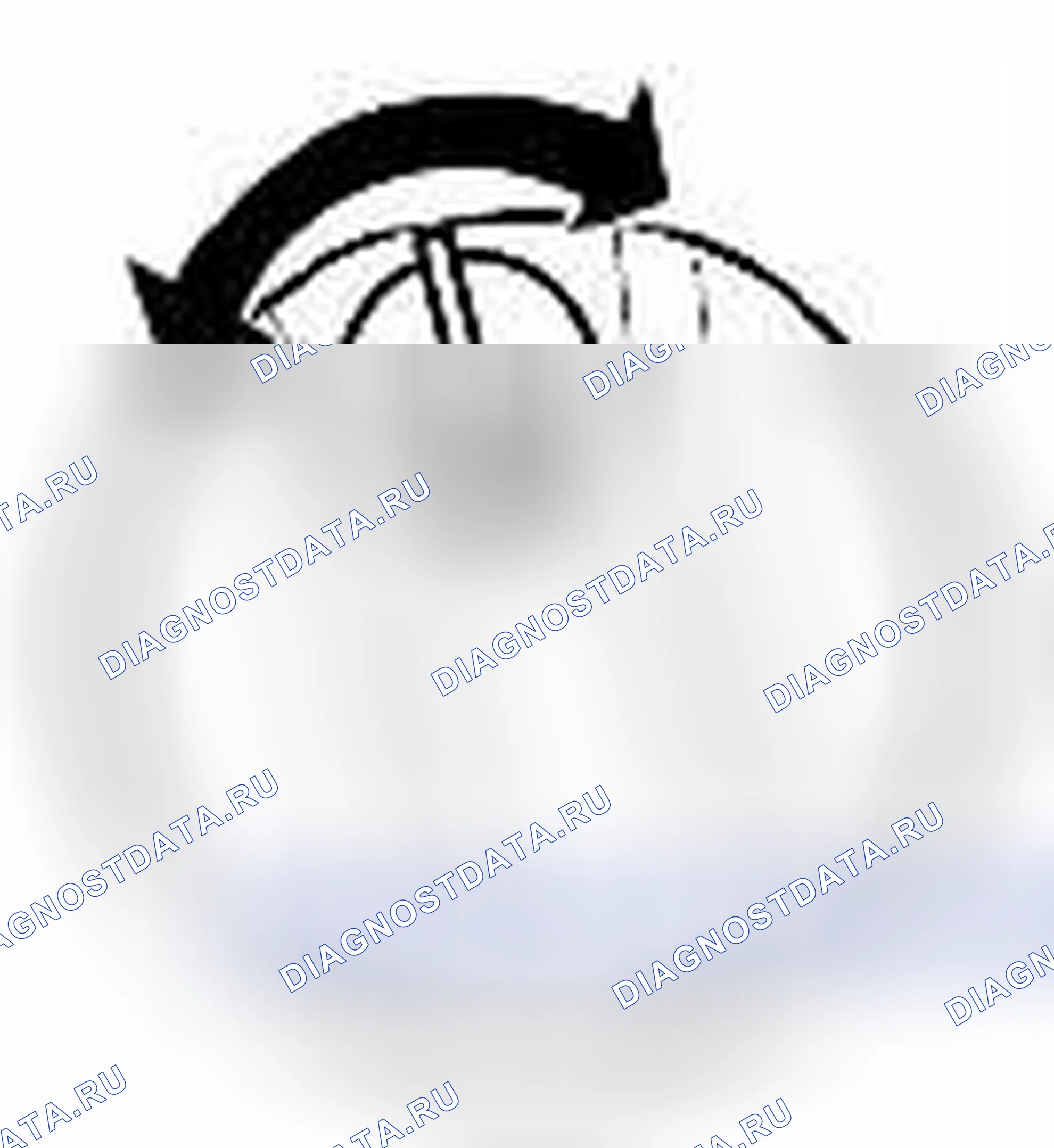 Рис. 256. Kia Optima I