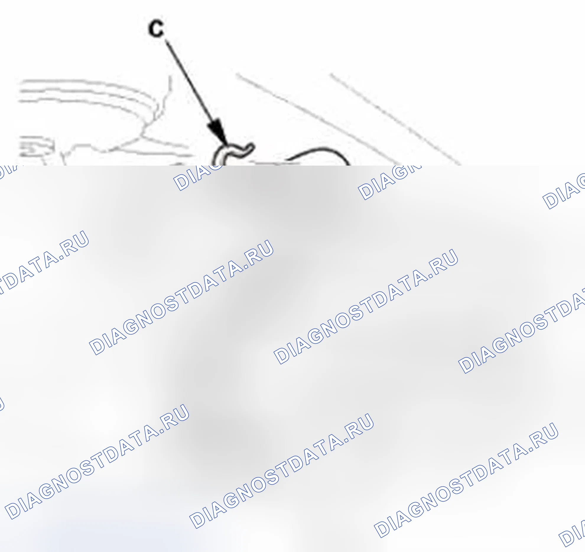 Рис. 327. Honda CR-V IV