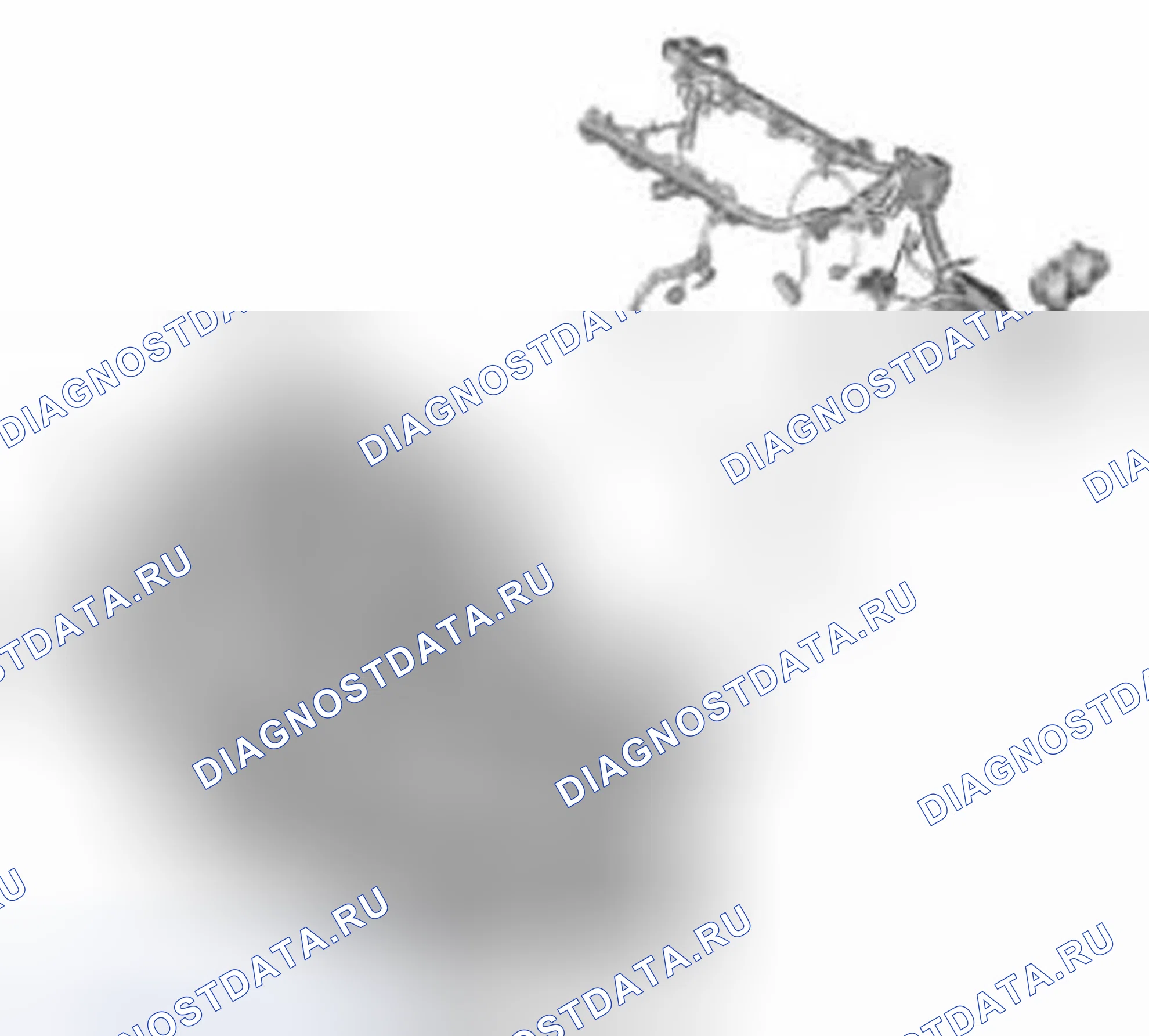 Рис. 222. Honda CR-V IV
