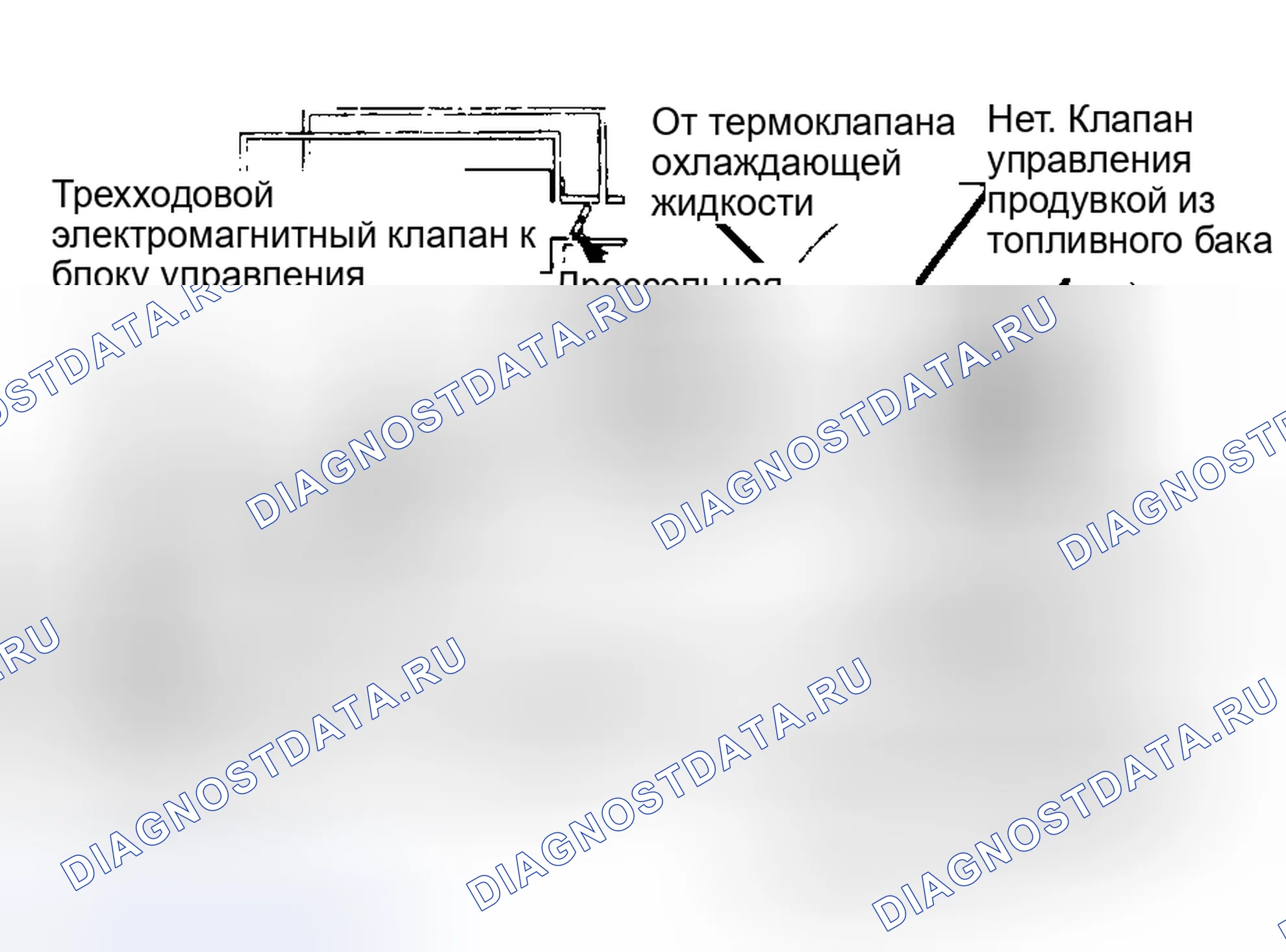 Рис. 11. Mazda MPV V