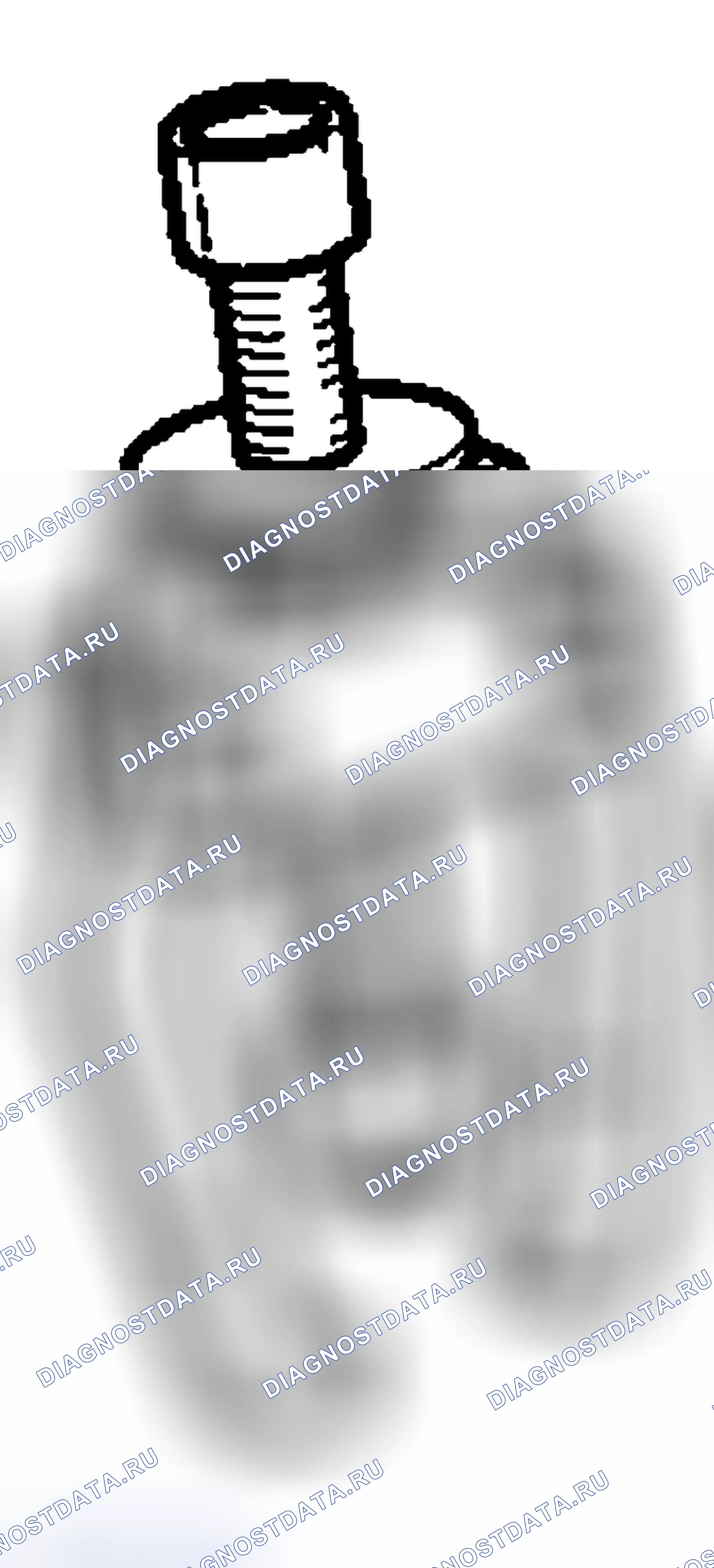 Рис. 4. Hyundai Tiburon II