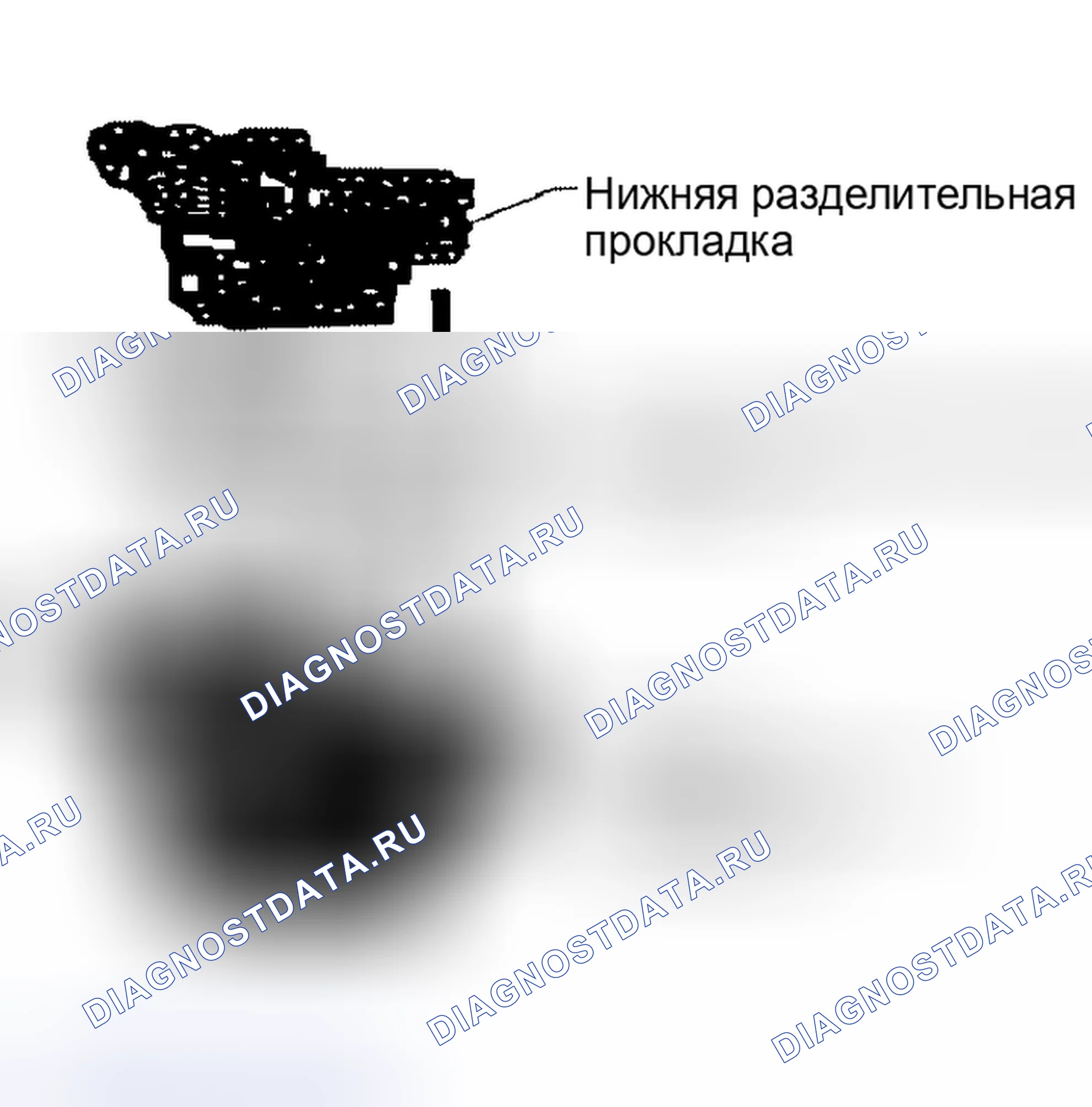Рис. 650. Nissan Altima L31 рестайлинг