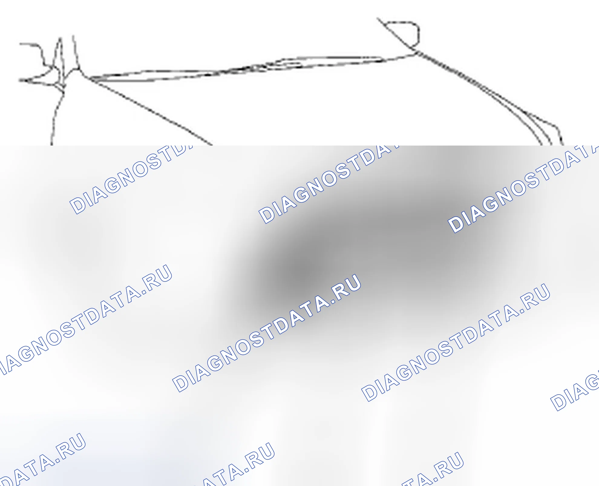 Рис. 8. Honda Accord VIII