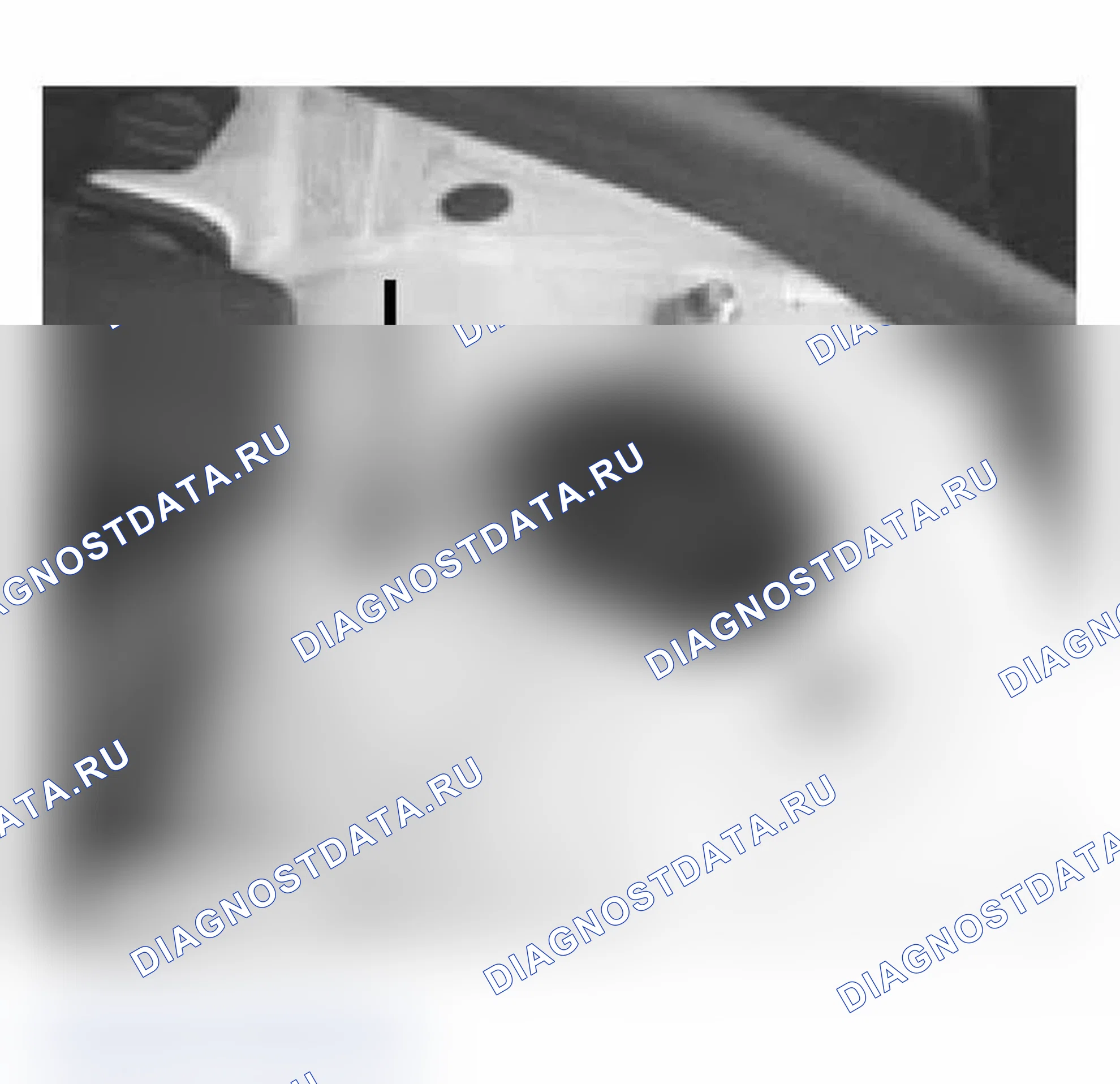 Рис. 41. BMW M3 E46