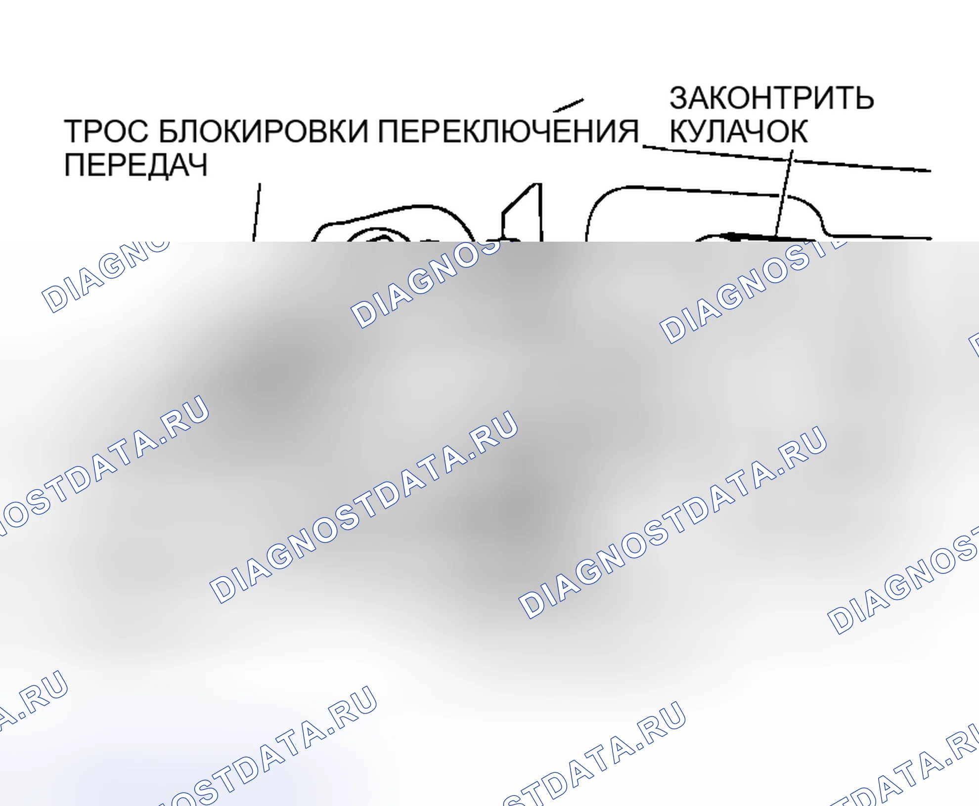 Рис. 1481. Honda Edix I