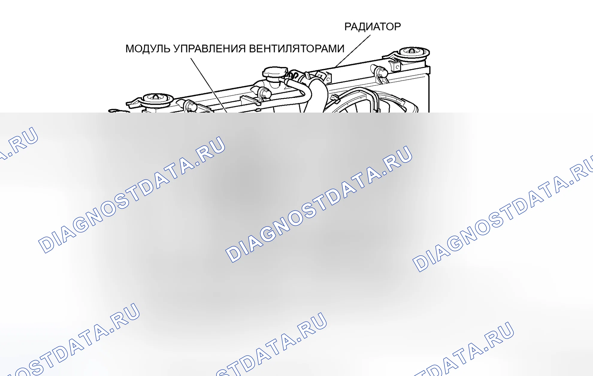 Рис. 1: СТРОИТЕЛЬНАЯ СХЕМА. Honda Envix I
