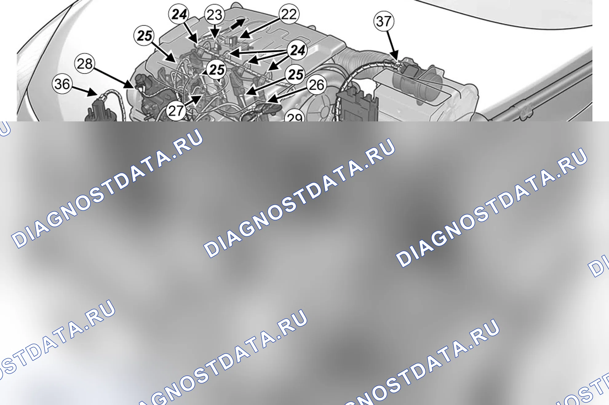 Как снять и установить жгут проводов двигателя — двигатель F9Q (1.9 dCi дизель). Renault Scenic III