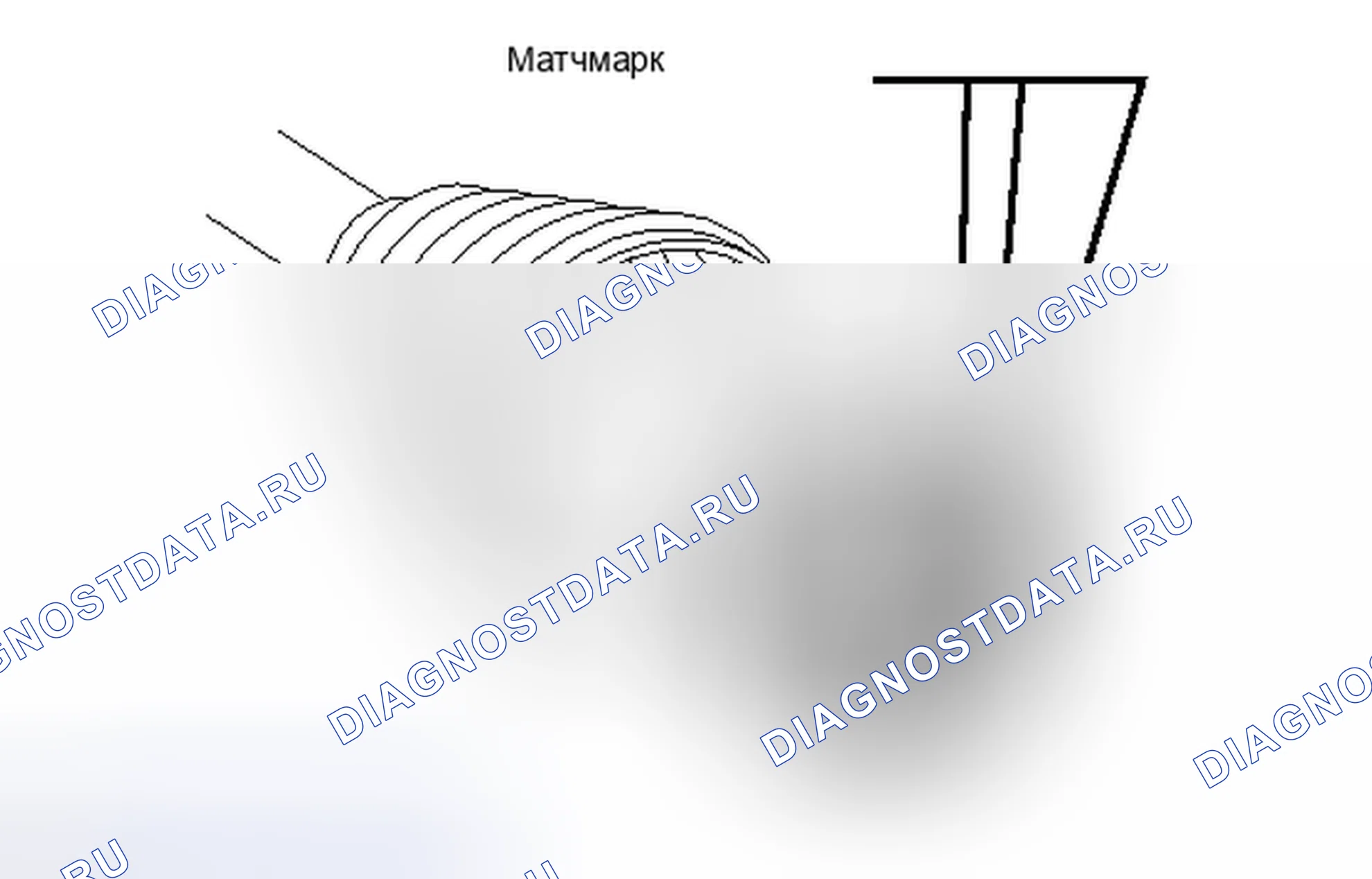 Рис. 35. Haval Raptor I