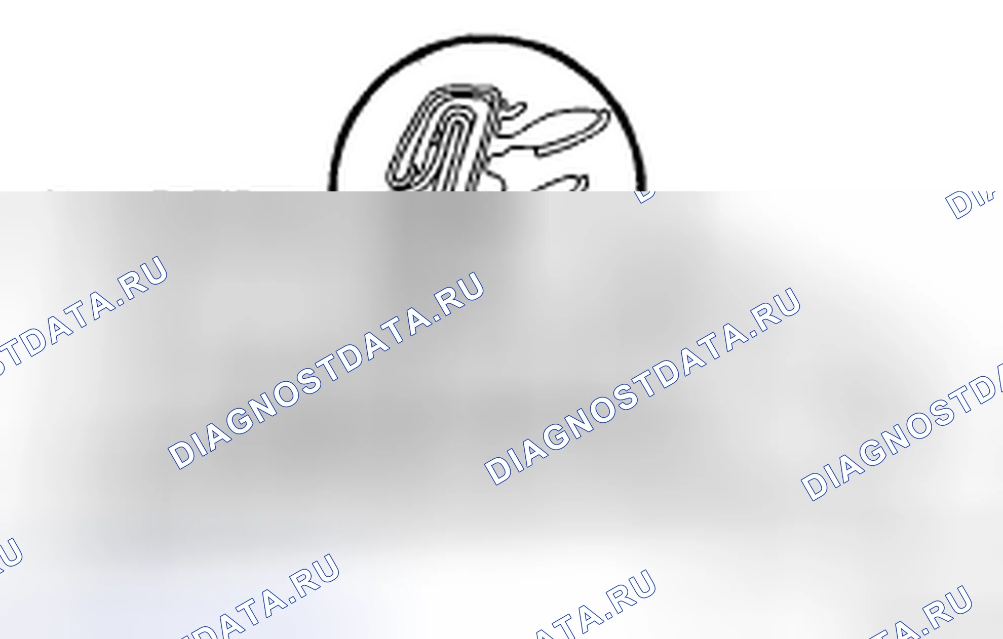 Рис. 59. Haval H5 II