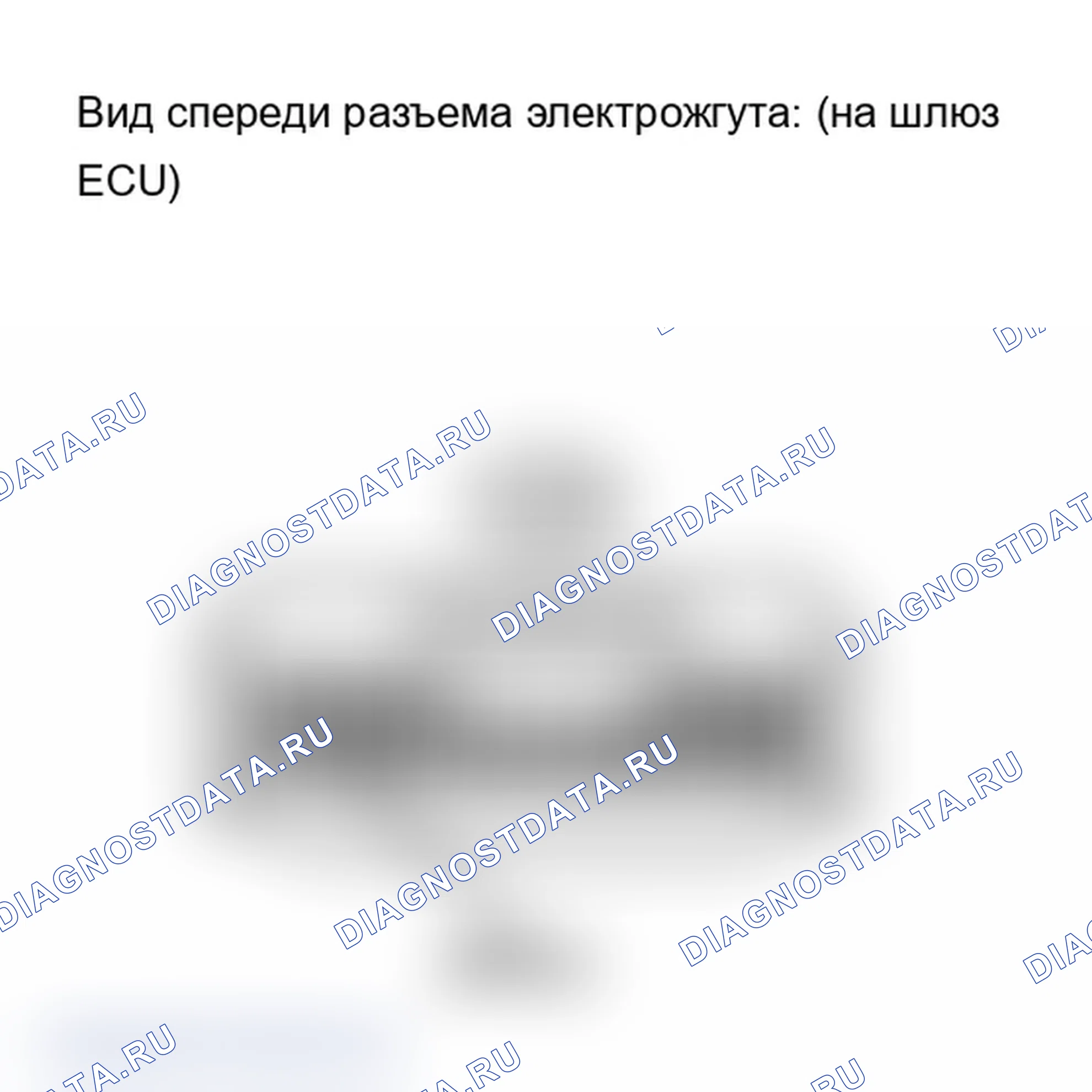 Рис. 154. Lexus IS F I