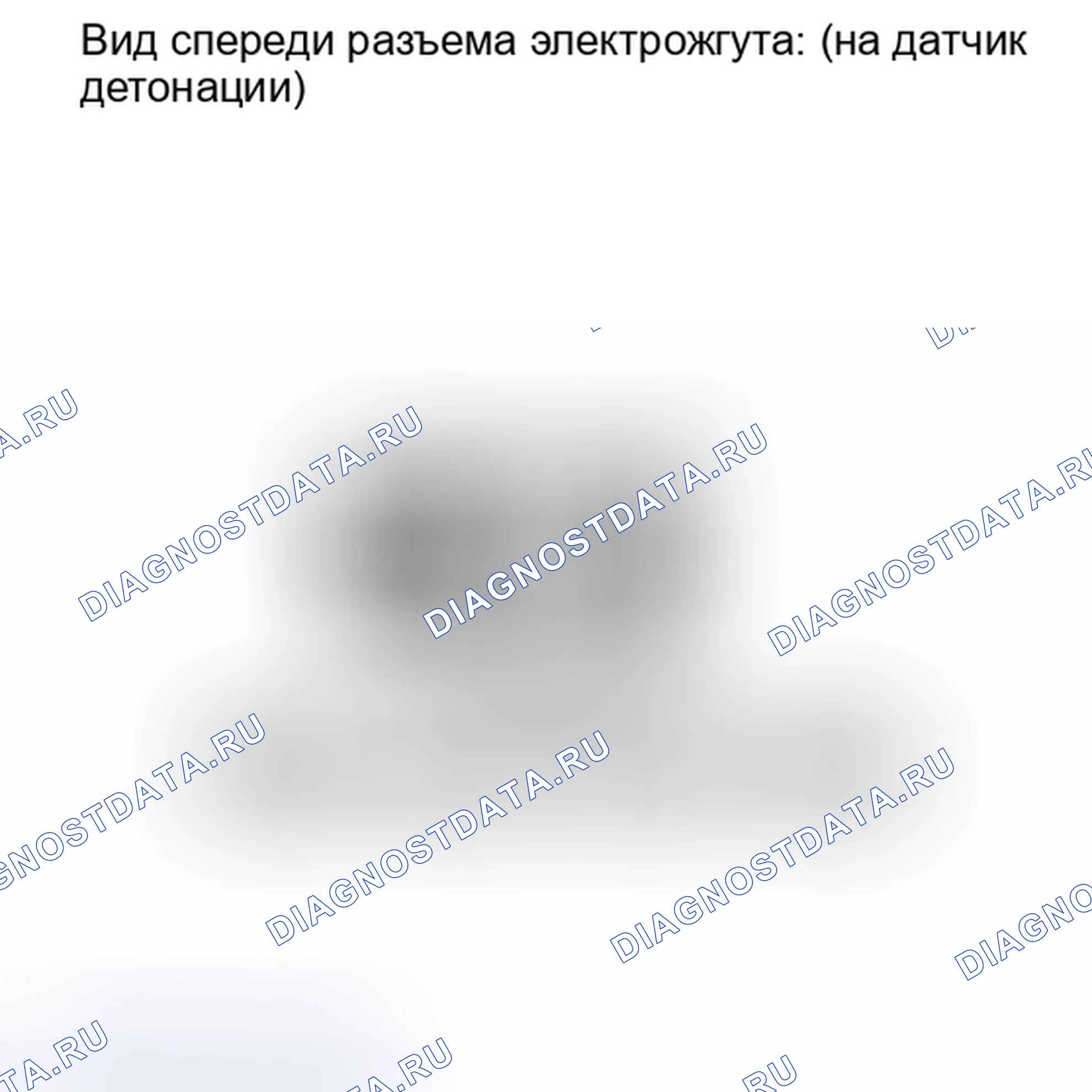 Рис. 307. Lexus IS F I