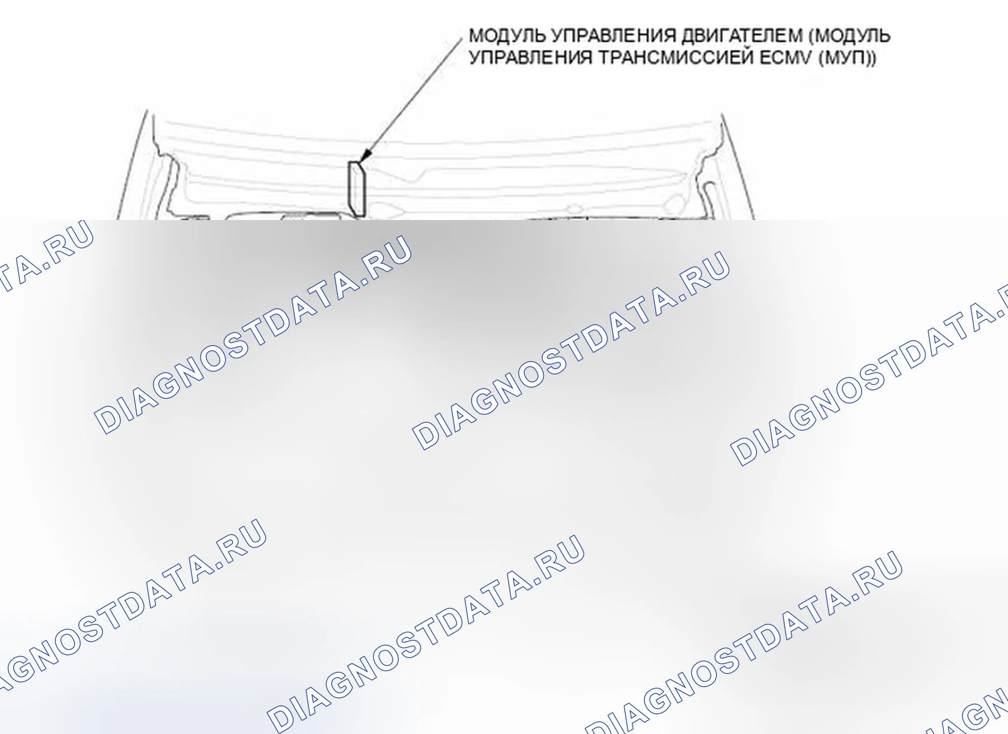 Рис. 3. Honda Element YH2 рестайлинг 2
