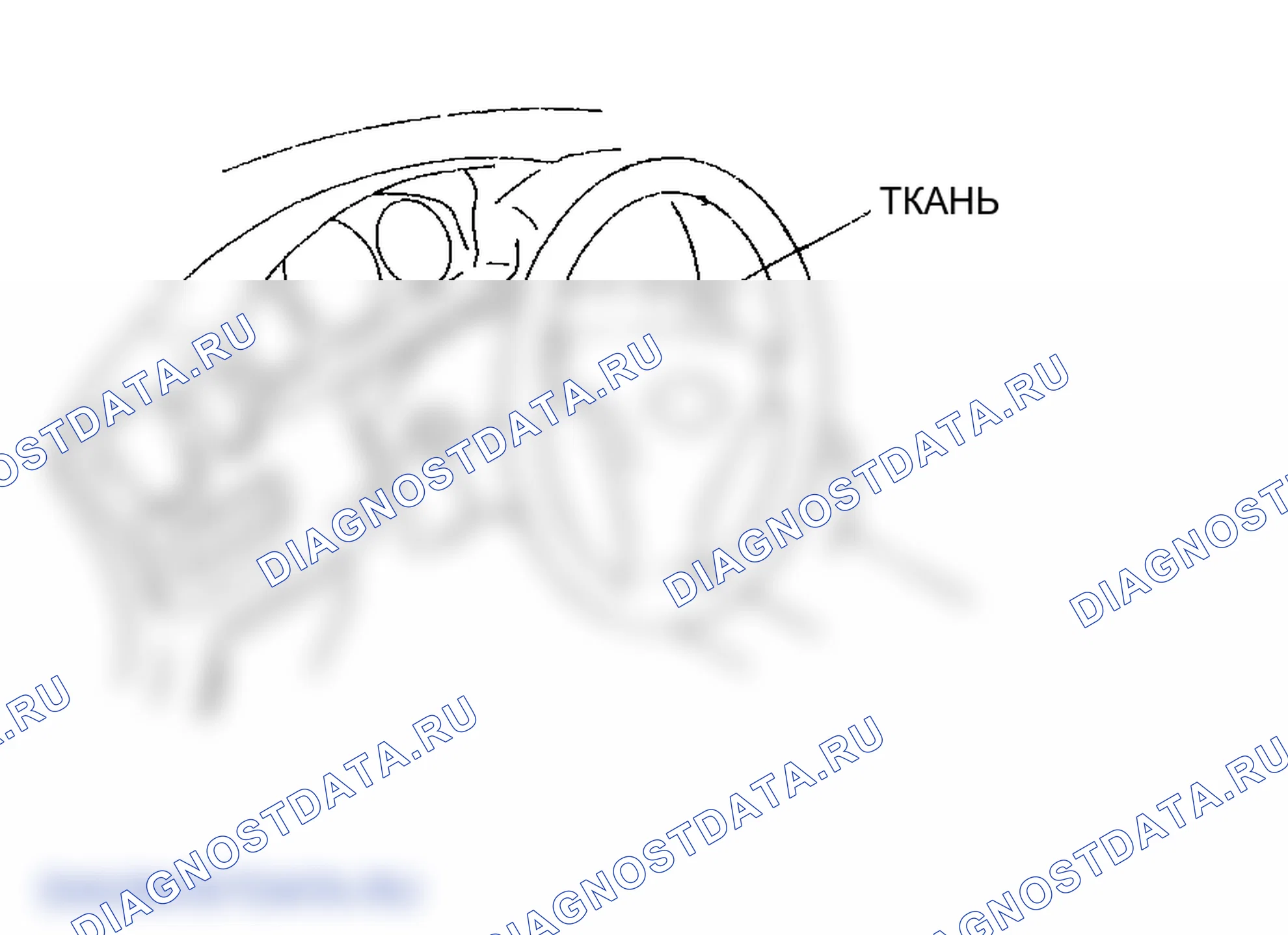 Рис. 21. Mazda MPV III