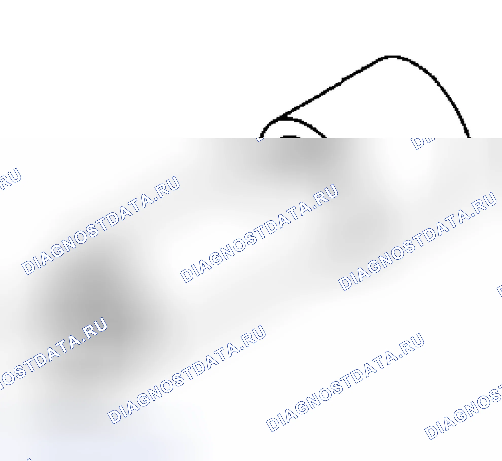 Рис. 116. Honda WR-V I