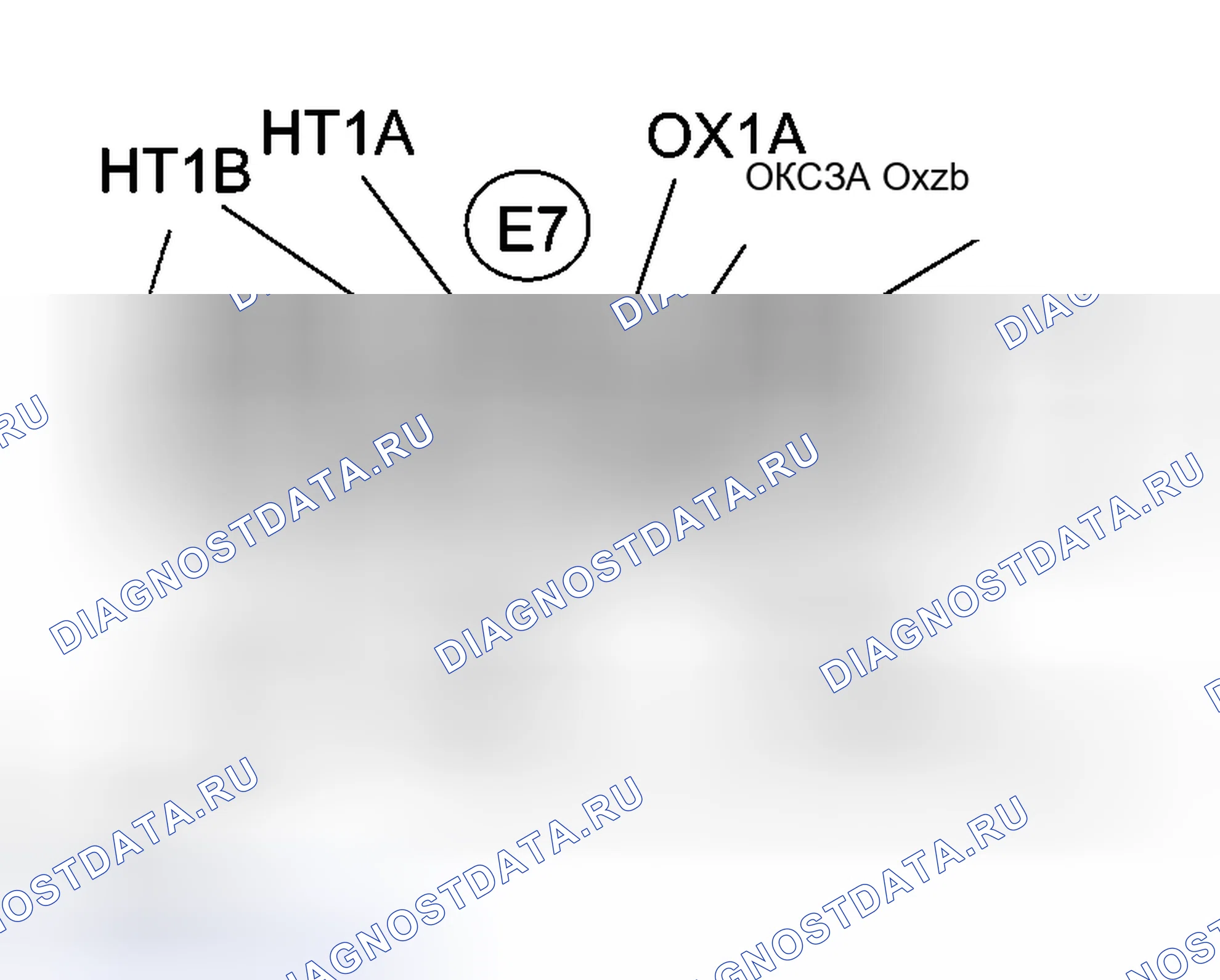 Рис. 136. Haval Xiaolong Max I