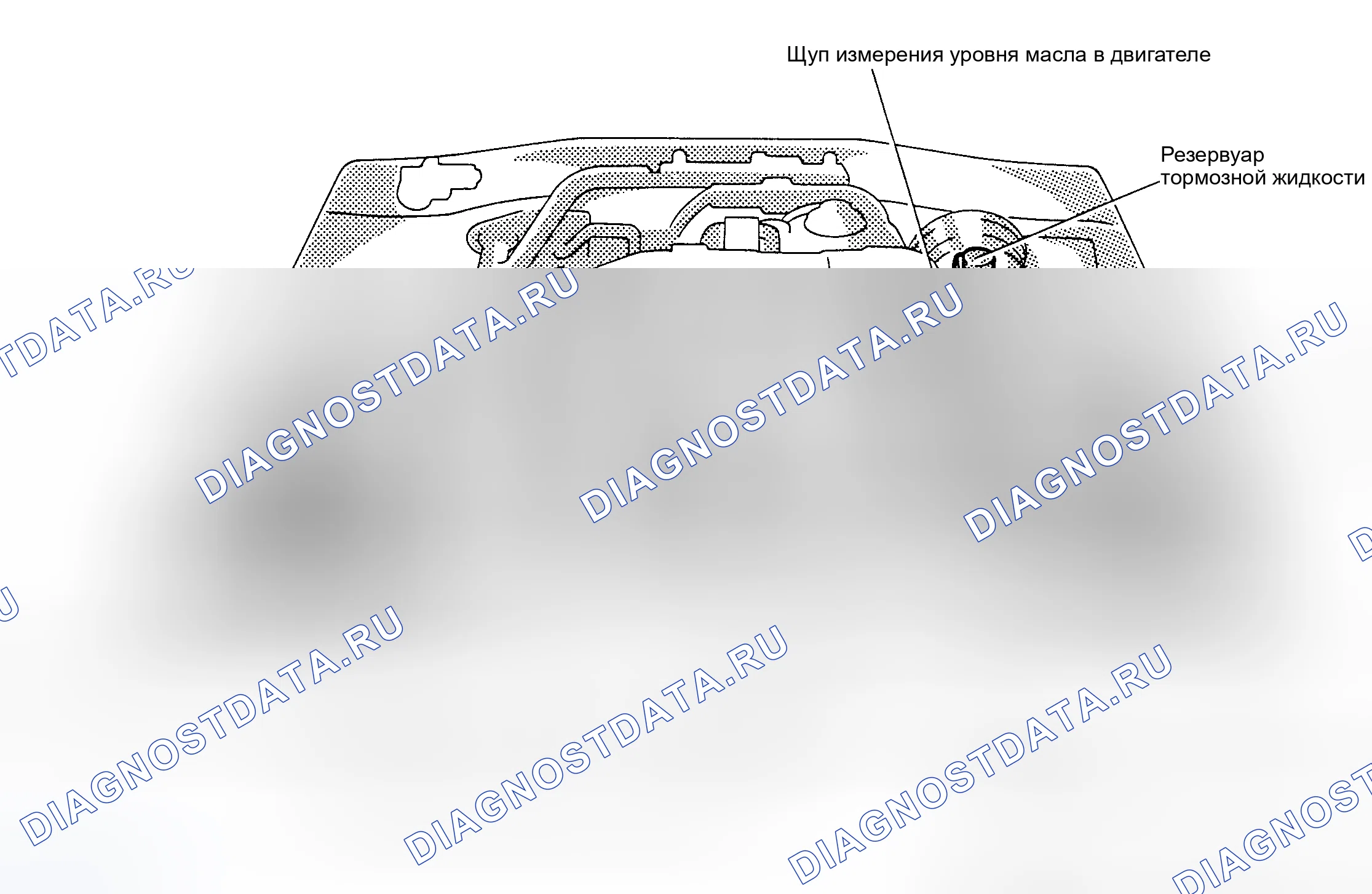 Рис. 7: РАСПОЛОЖЕНИЕ ТОЧЕК ОБСЛУЖИВАНИЯ. Honda Accord X рестайлинг