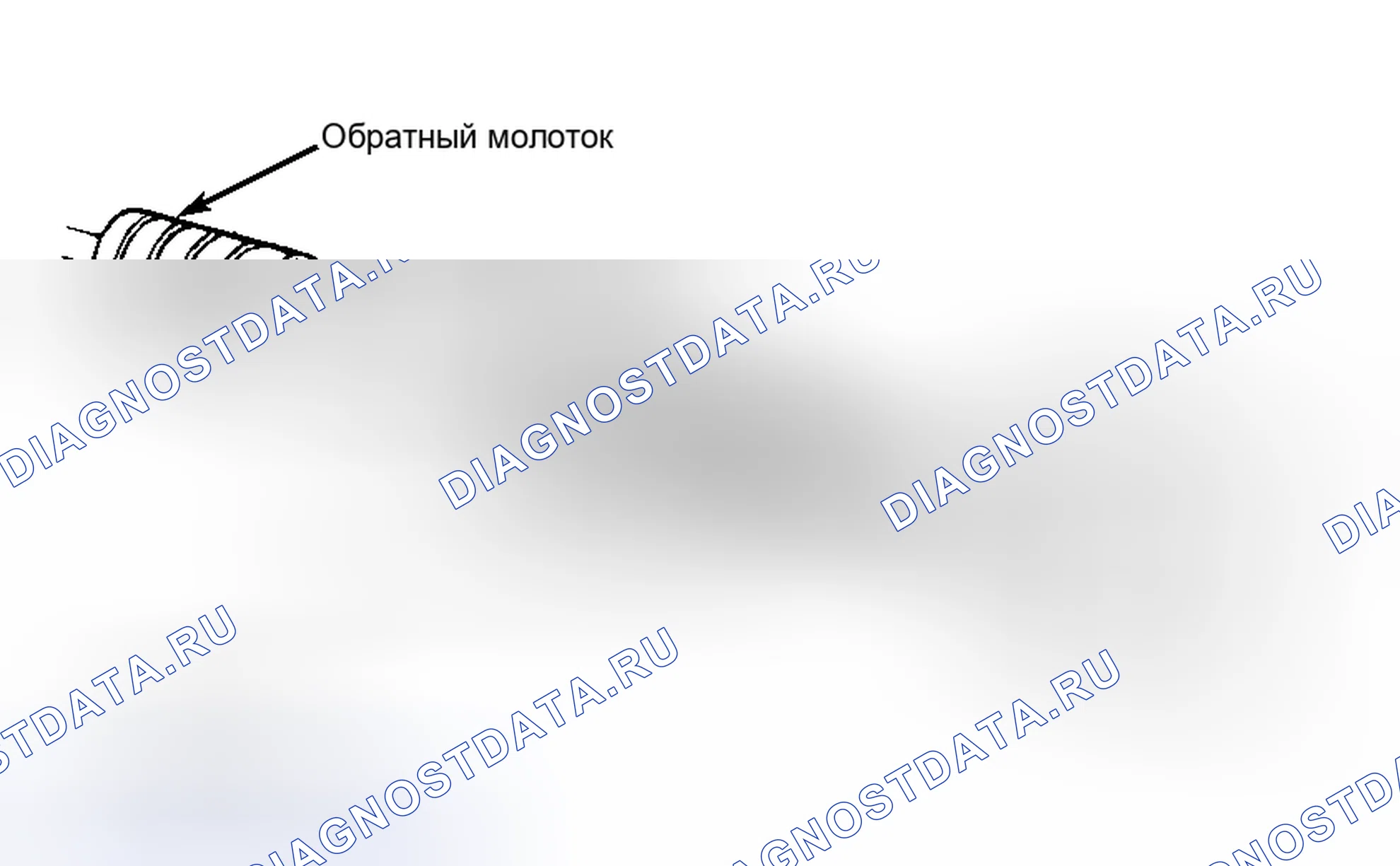 Рис. 5. Nissan Maxima A32