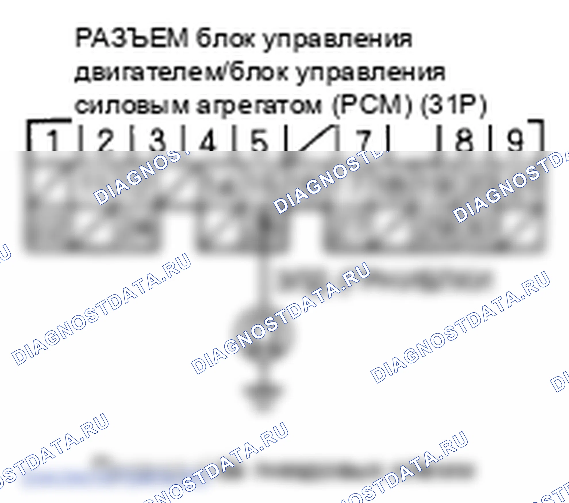 Рис. 491. Honda Element YH2 рестайлинг